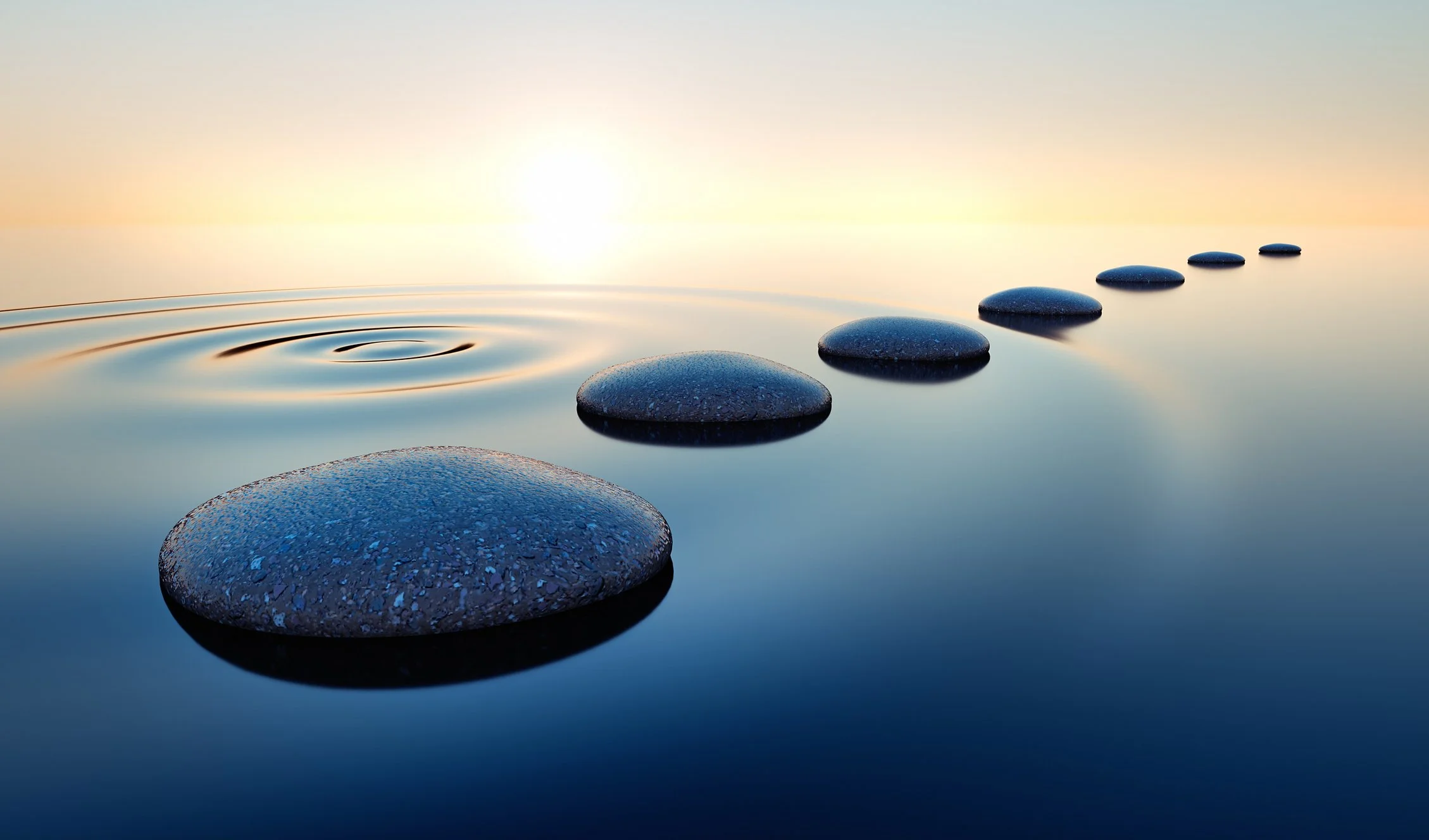 From Concentration Comes Peace:&nbsp;Training in Tranquil Abiding