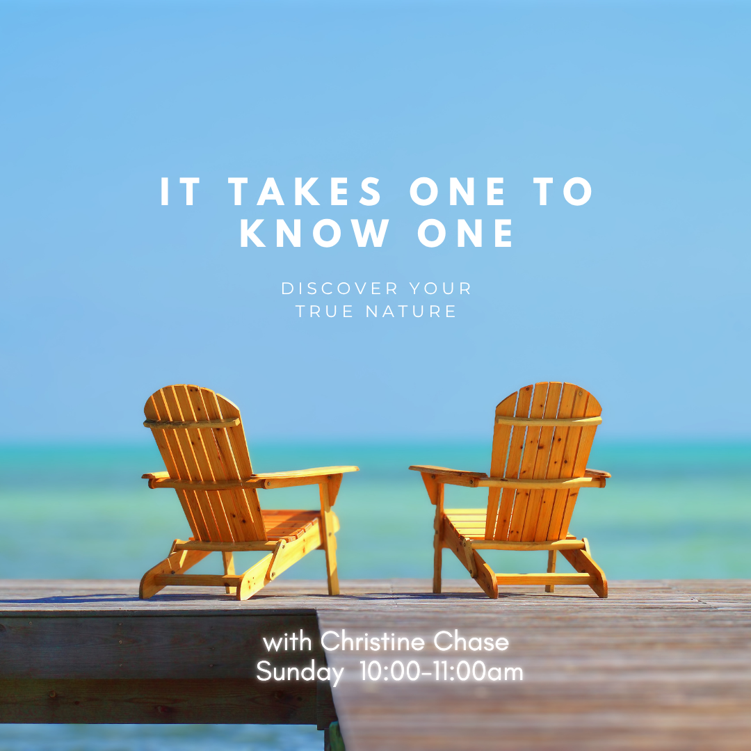 It Takes One to Know One: Discover Your True Nature