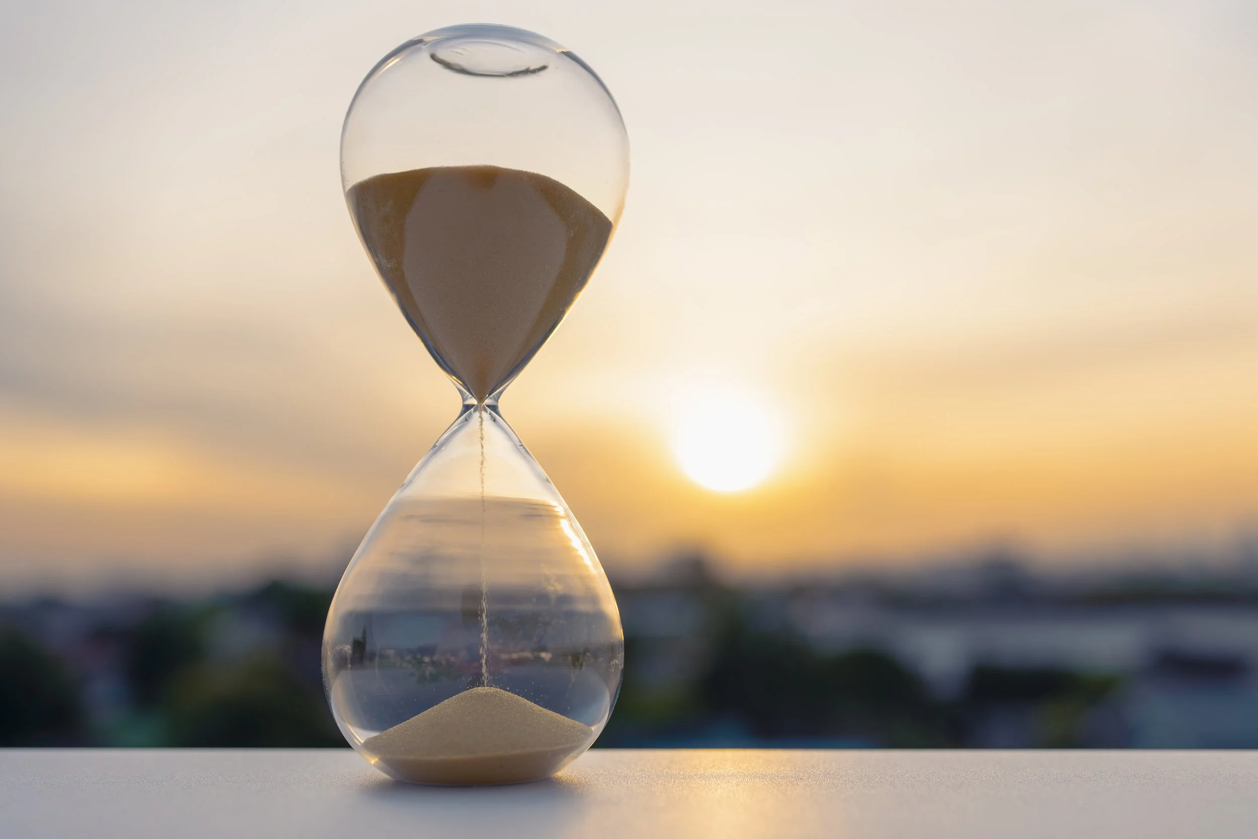 Patiently Waiting, Wisdom Coming:  A Mini-Meditation Retreat on the Power of Patience