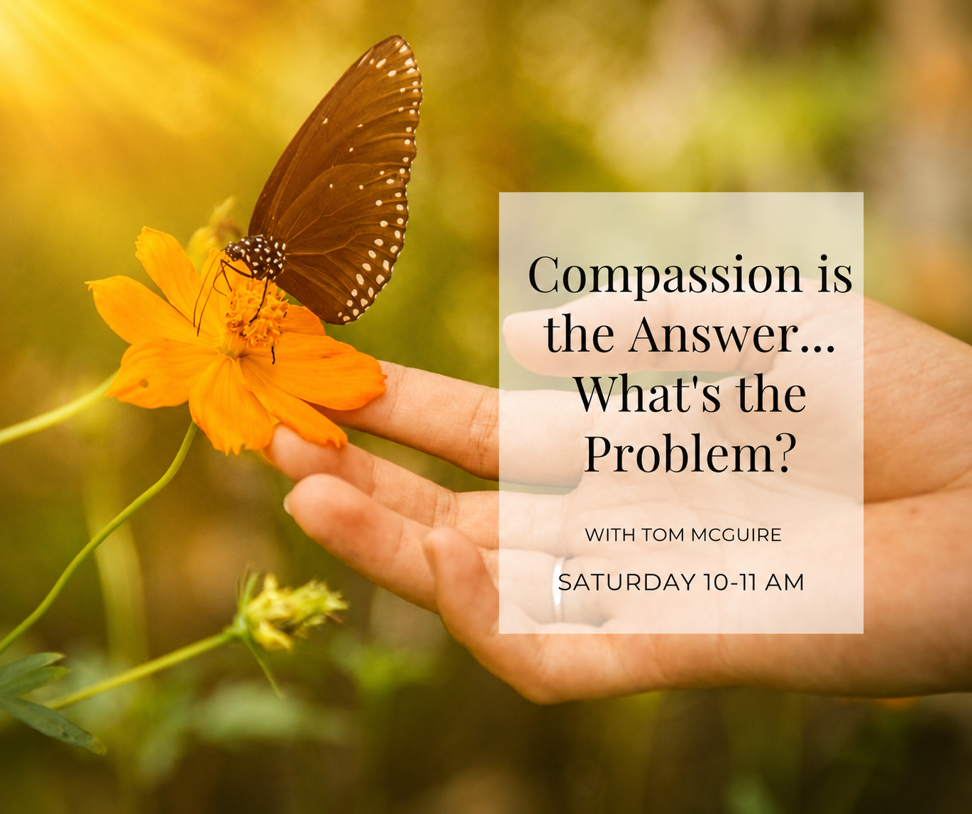 Compassion is the Answer: What’s the Problem?