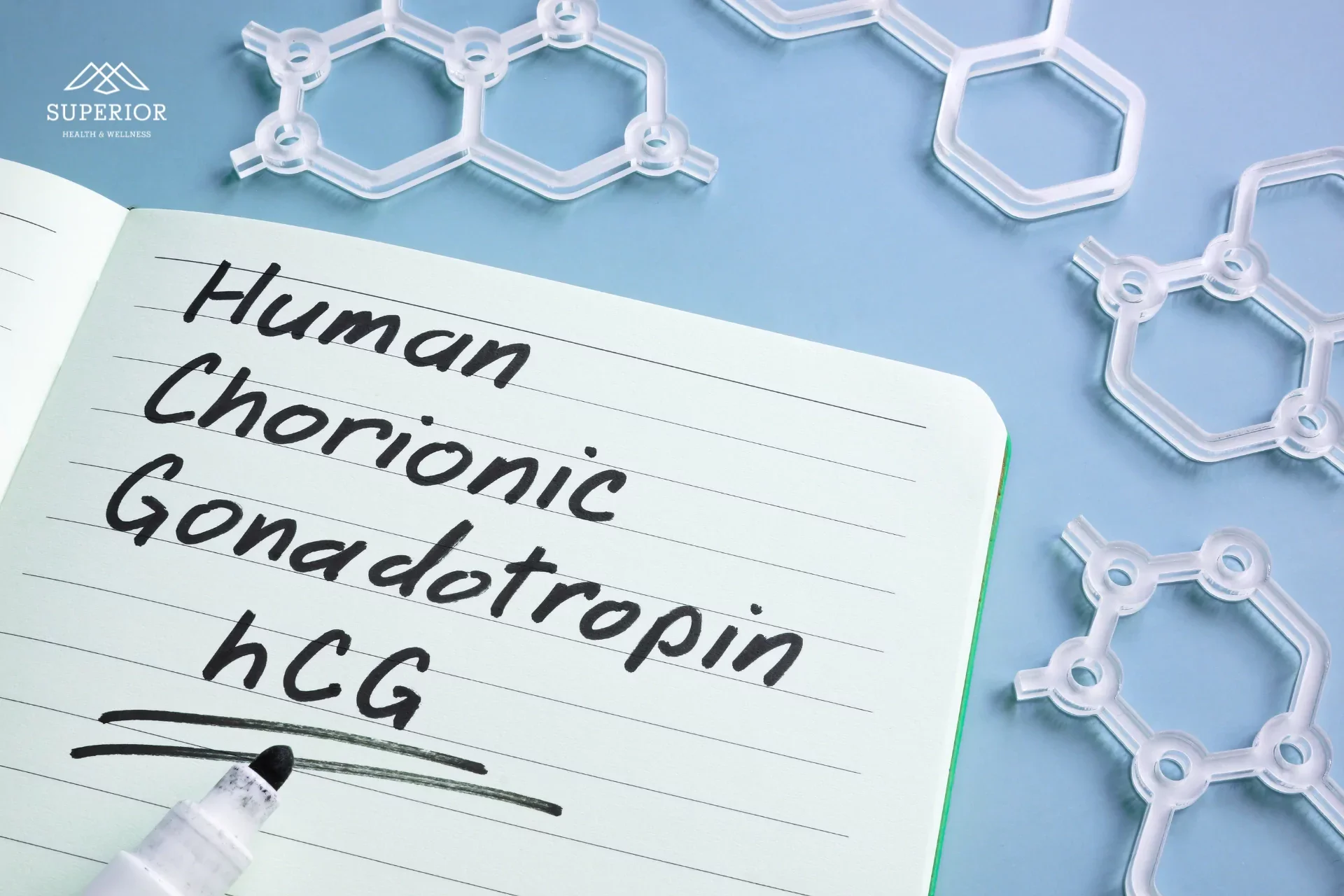 Human Chorionic Gonadotropin (hCG, Pregnyl®) Therapy for Men