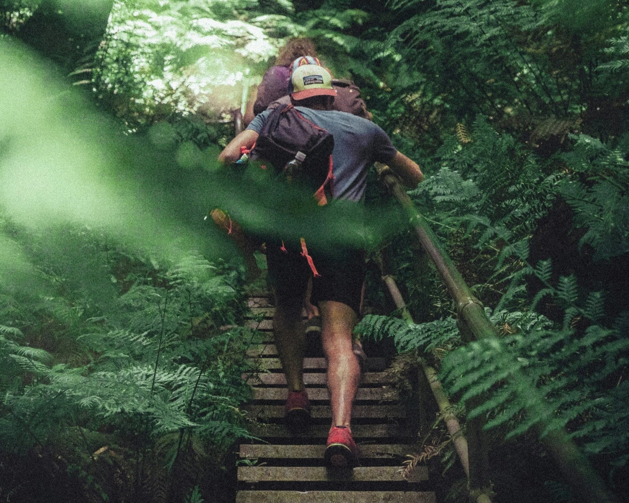 couple hiking up stairs in forest