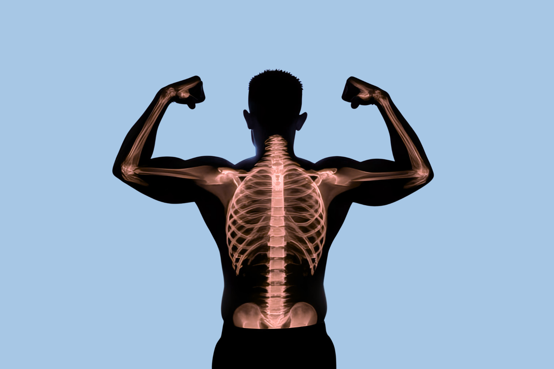 muscular male skeleton strong bones