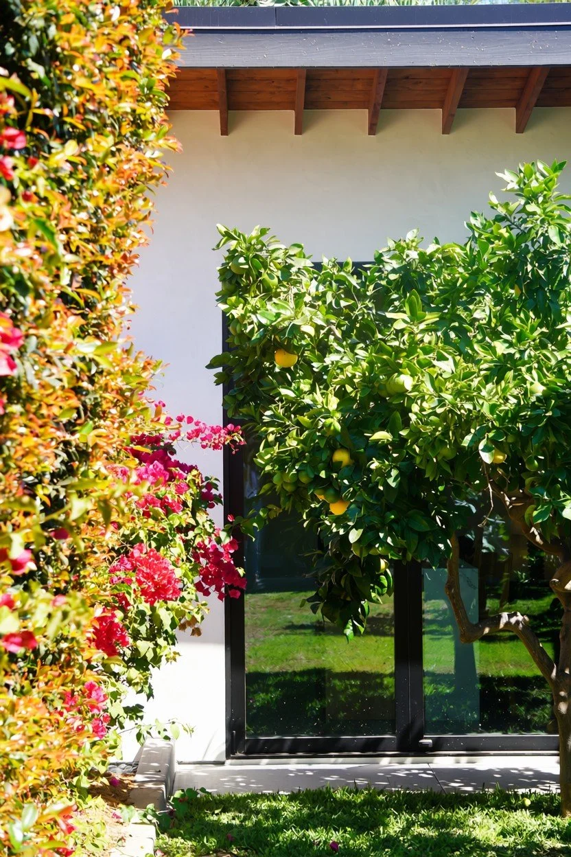 ptloma_adu18.jpg