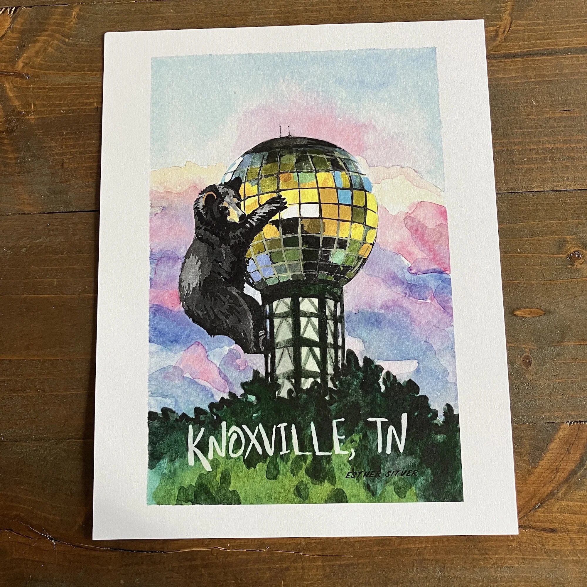 Knox Bear Print 8x10