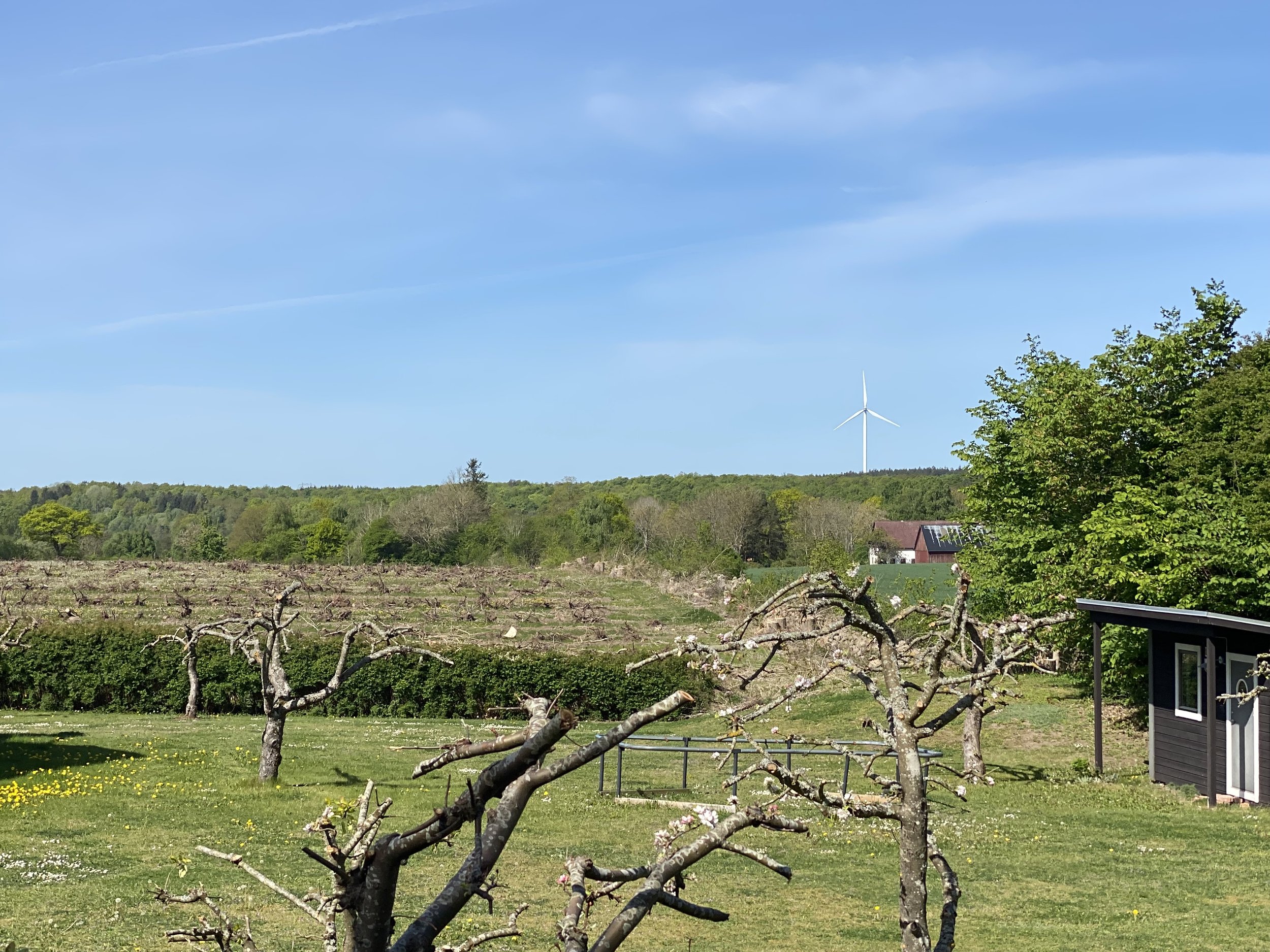 En trädgård med blommande äppelträd, ett litet hus till höger, gröna ängar och träd i bakgrunden, en vindkraftverk i horisonten mot en klar blå himmel.