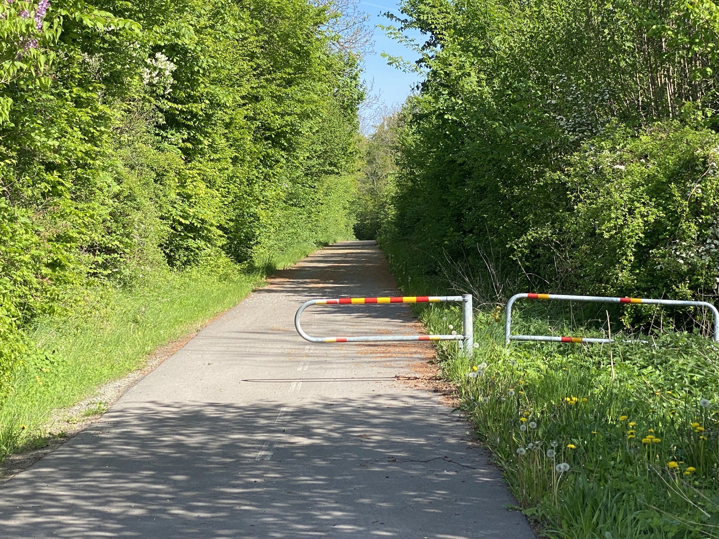En grusväg avskärmad av metallstaket i en grönskande skog på en solig dag.