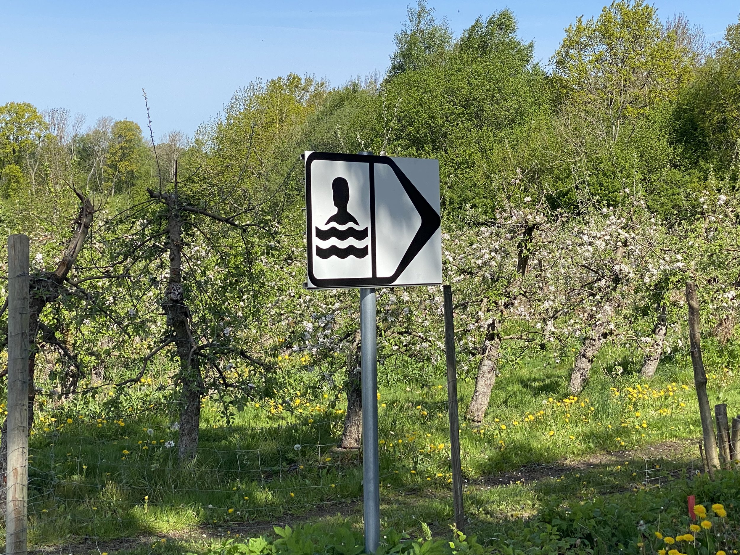 Vägskylt som visar en person i vatten och en pil till höger, placerad framför ett blommande äppsträd och grönt landskap.