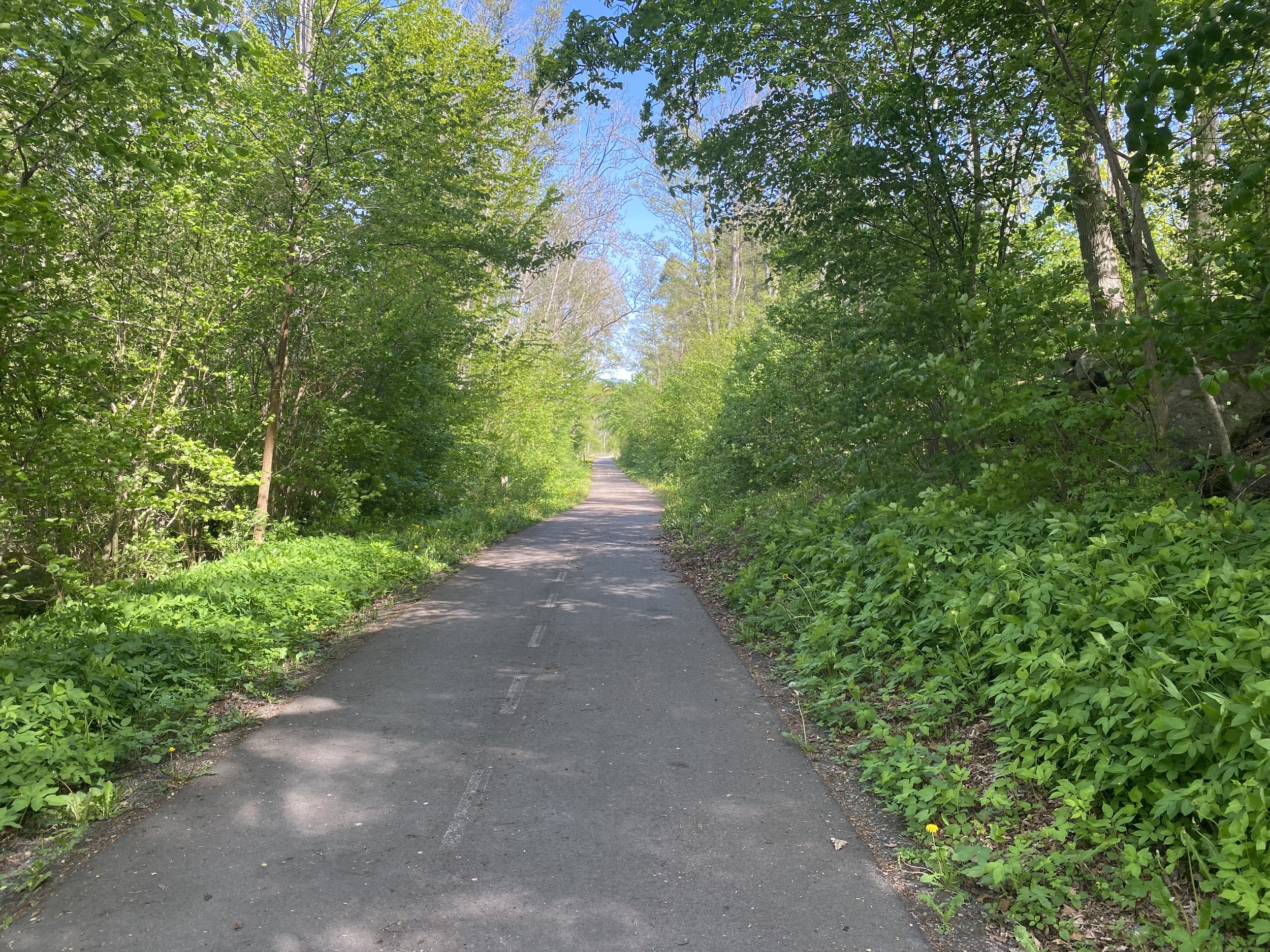 En smal, asfalterad gångstig som går genom en grönskande skog med träd och buskar på båda sidor.