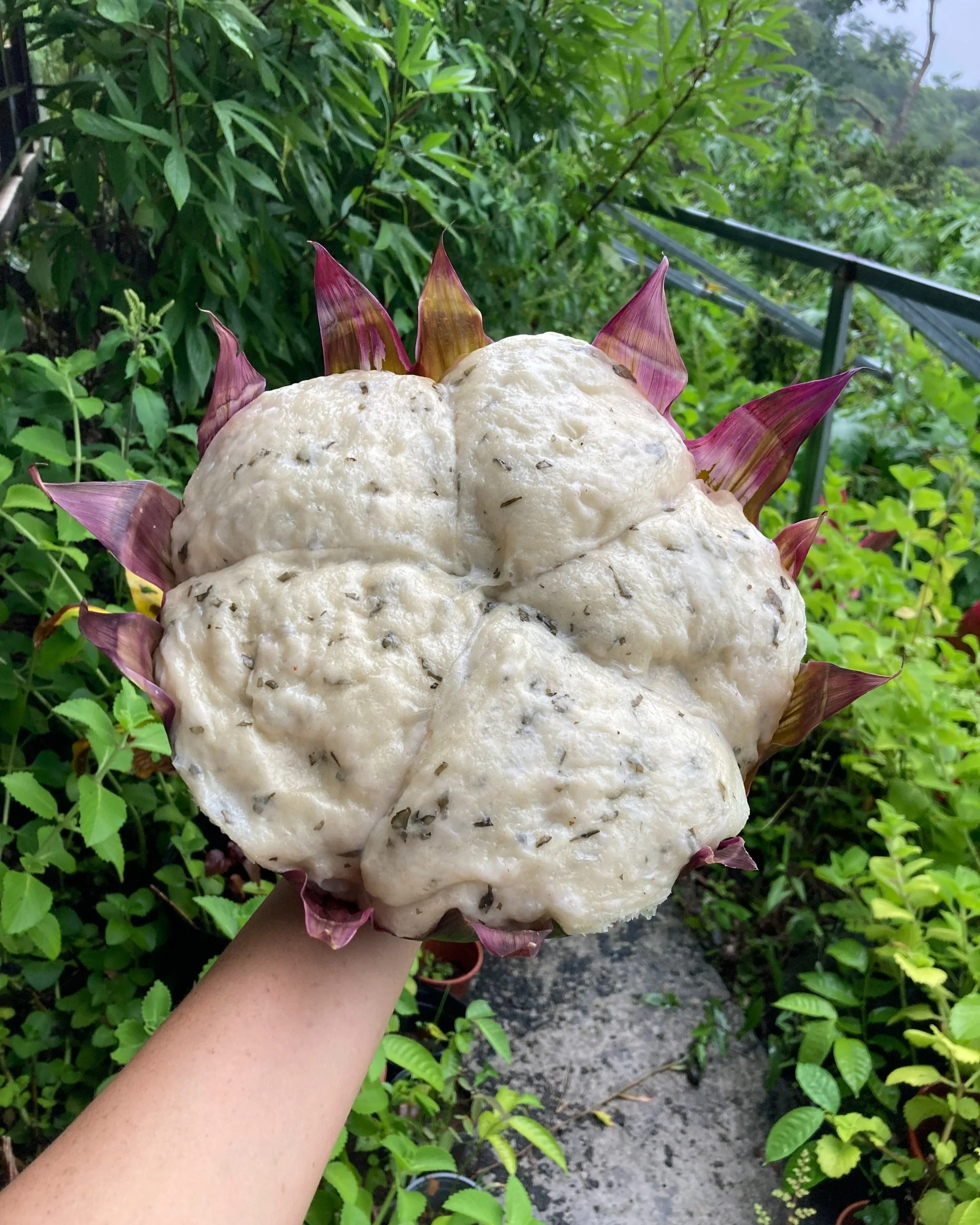 Steamed Bread with Fresh Gotu Kola and Holy Basil