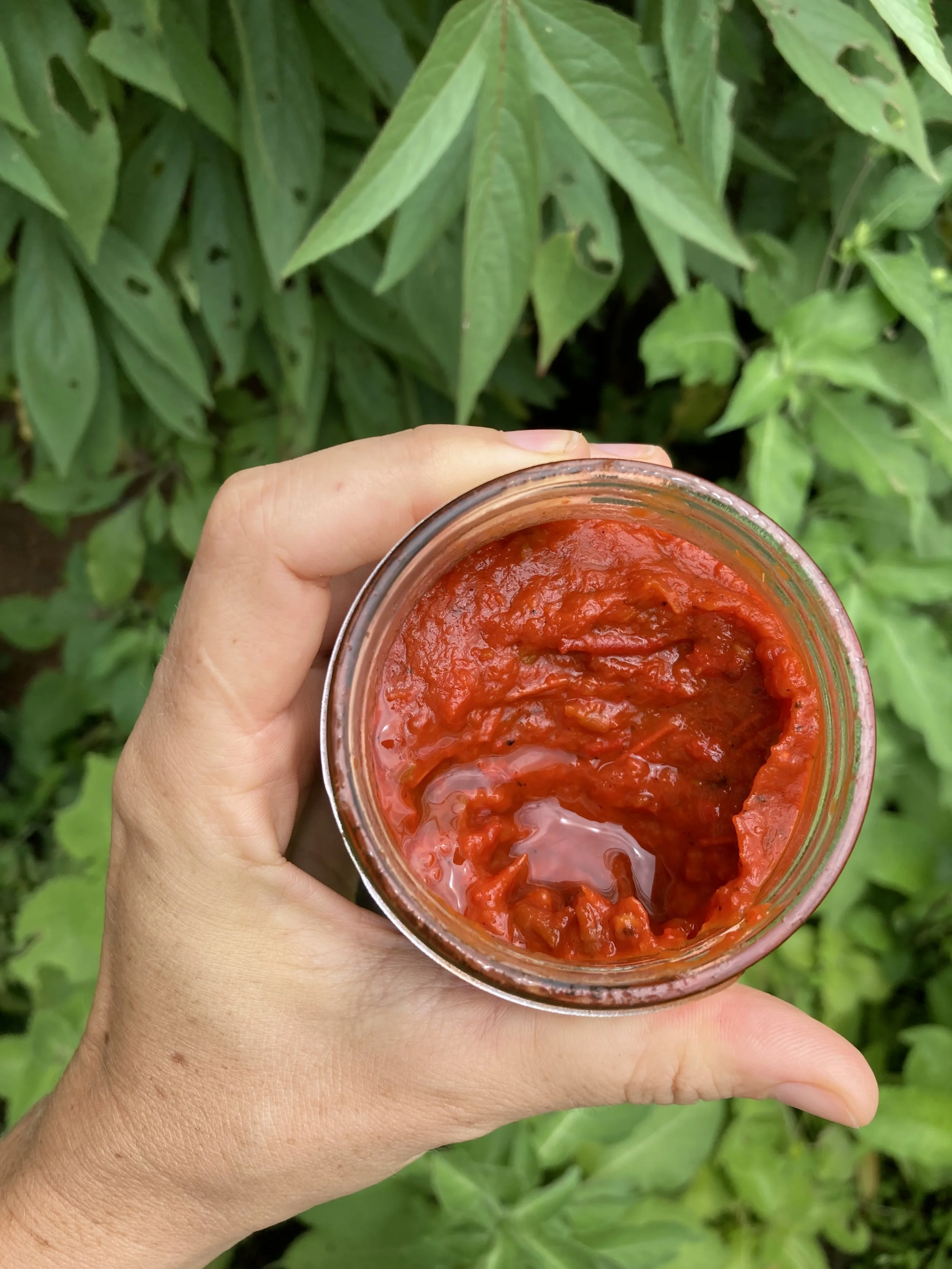 Chili Paste made with Rocoto Peppers