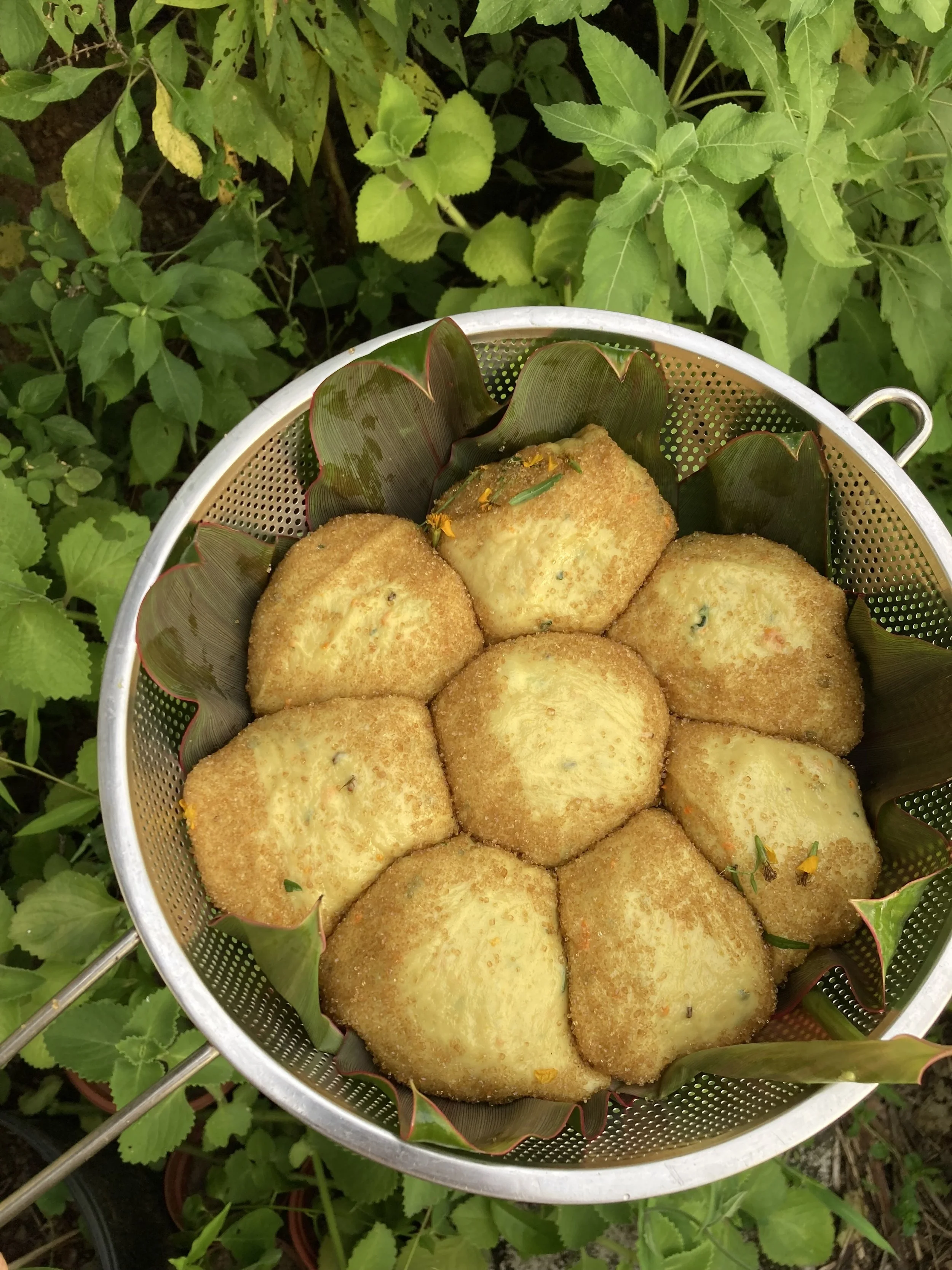 Turmeric Sweet Bread for Día de Muertos (Steamed buns)