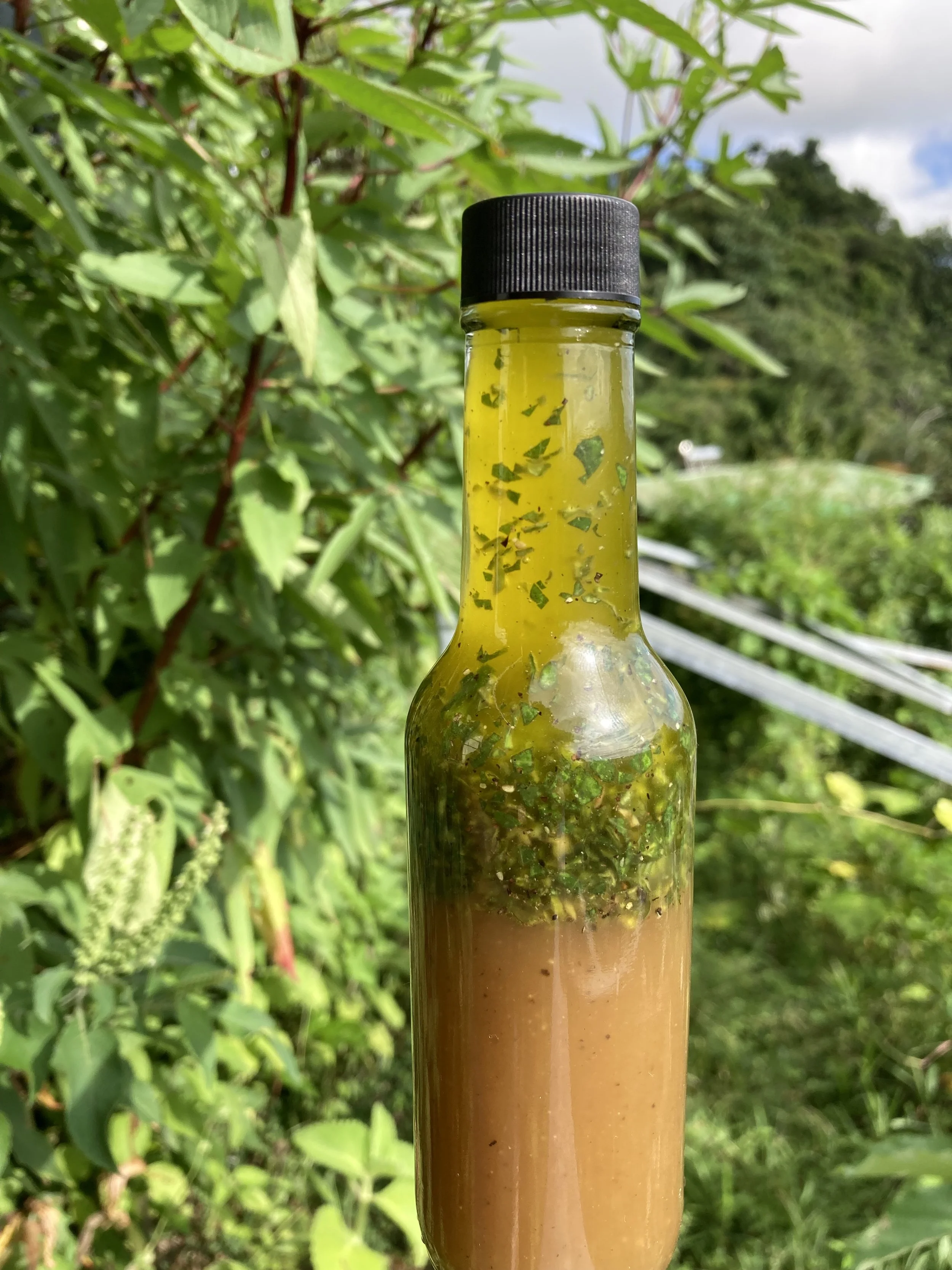 Fresh Herbal Vinaigrette