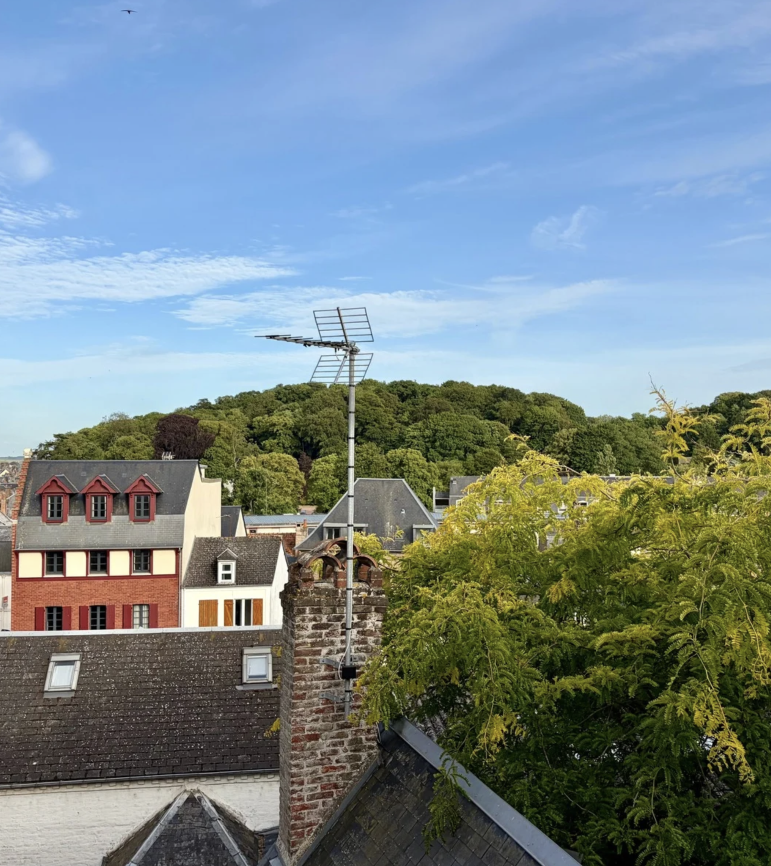 Paysage urbain avec des bâtiments en toit de ardoise, une cheminée en briques, un arbre vert, et une antenne TV sur le toit, sous un ciel bleu avec quelques nuages.