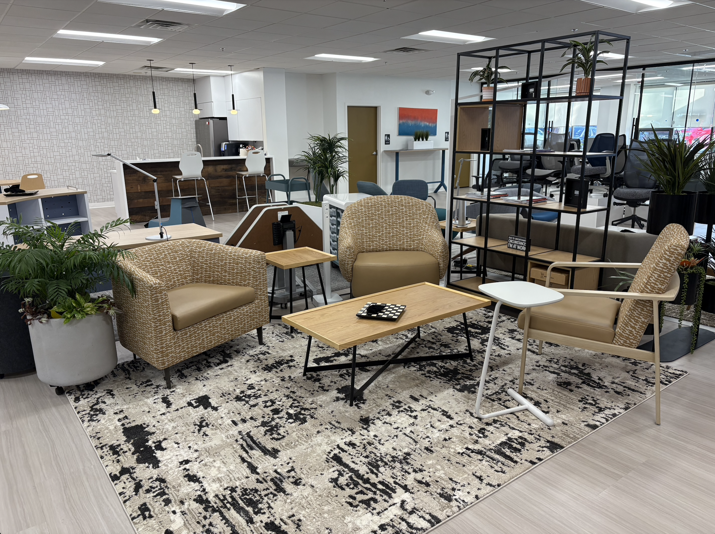 Our New Showroom is Open!