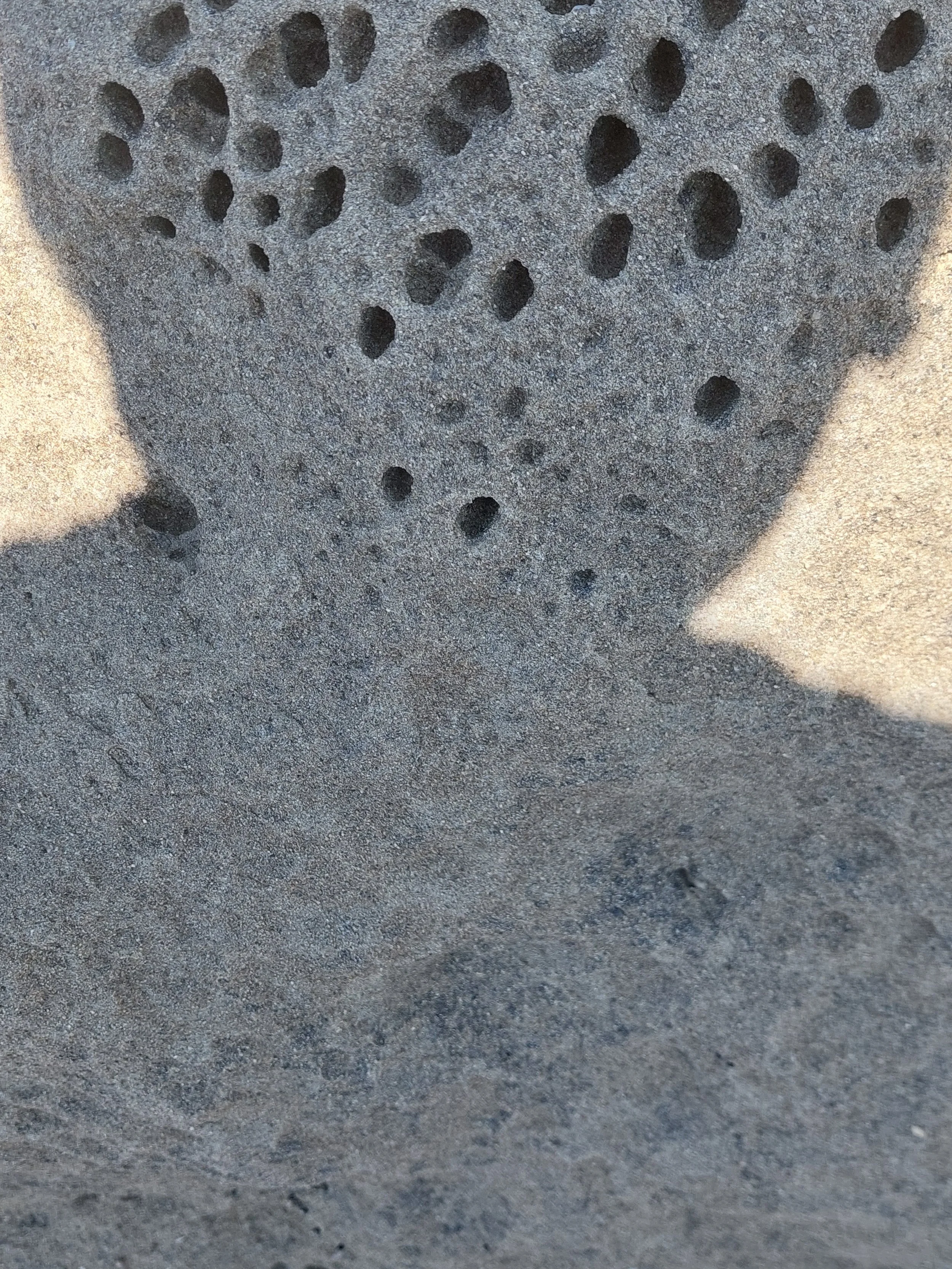 20260803_135111.jpg