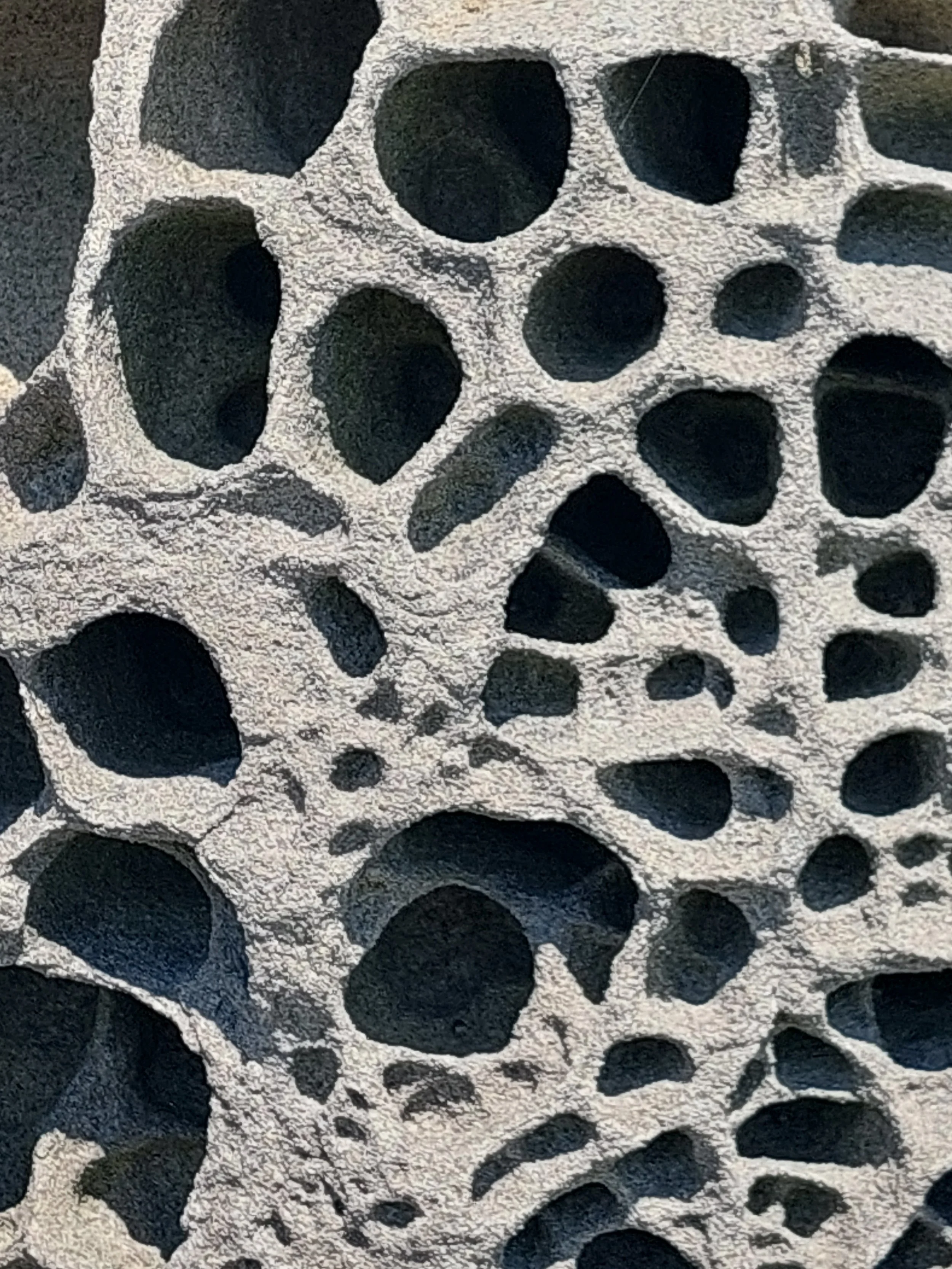 20260803_134001.jpg