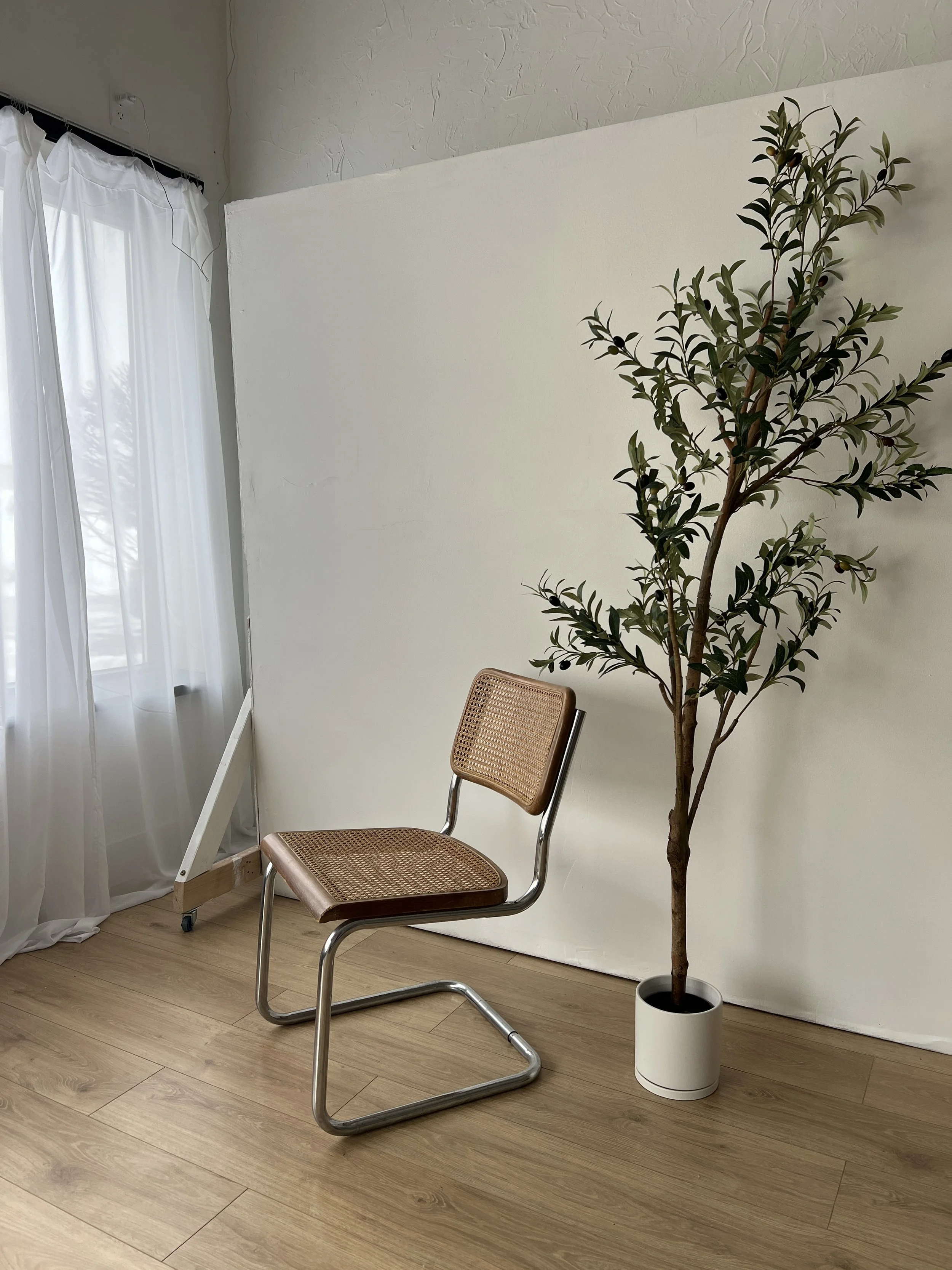 Central Wisconsin rental studio for small gatherings, events, photoshoots, co working space.