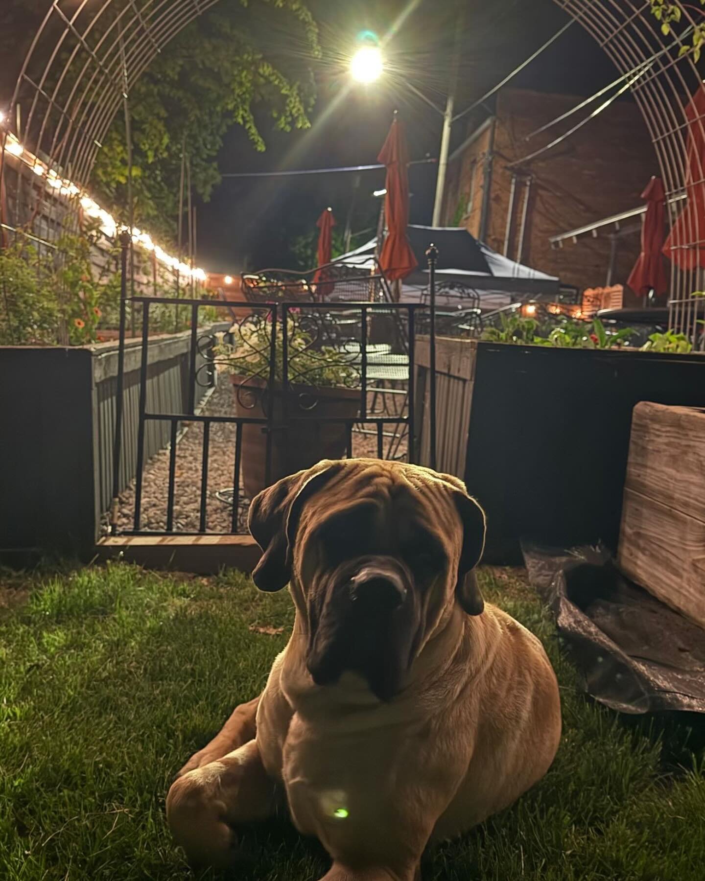 Whiskey Creek Whiskey Garden Atlas.jpg