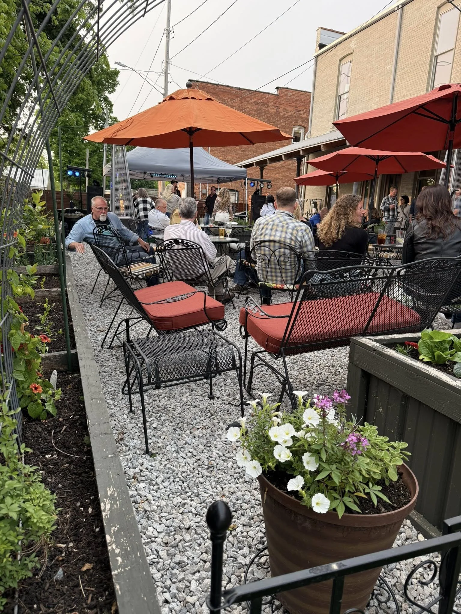 Whiskey Creek Whiskey Garden Phins Up.jpg