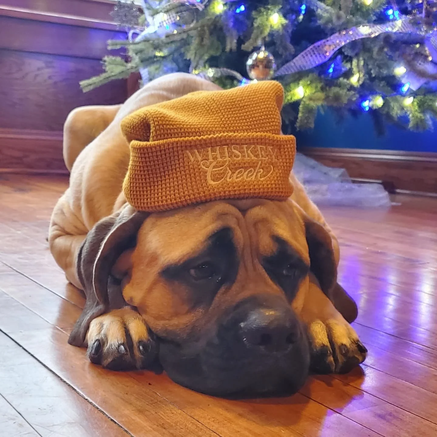 Whiksye Creek Atlas Hat.jpg