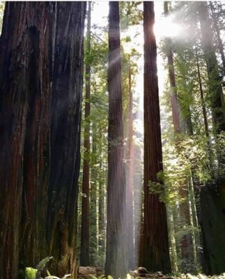 In Praise of Doubt