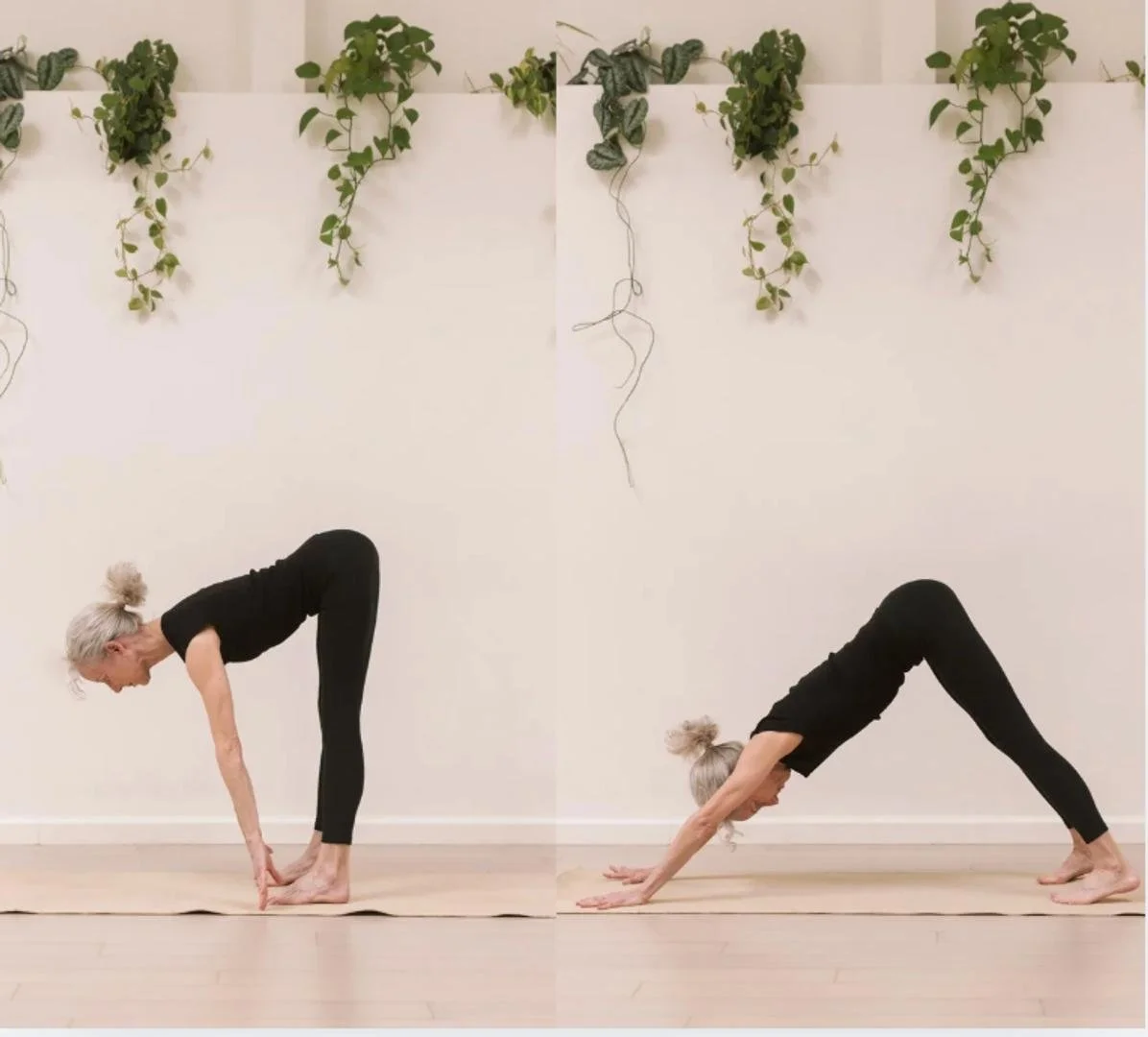 Sun Salutations: Bright and Healthy