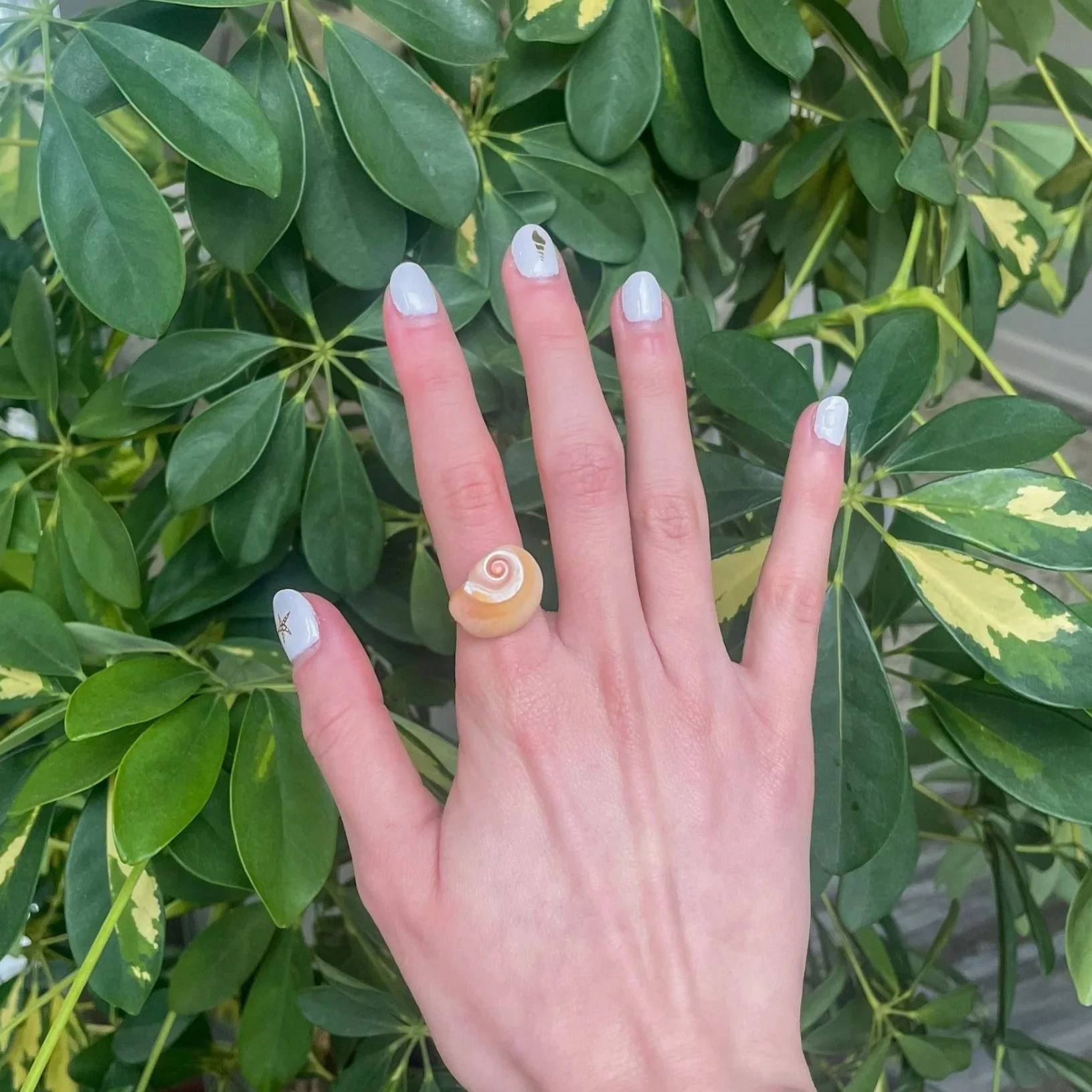 Orange+and+White+swirl+Shell+gold+ring+wearing.jpg