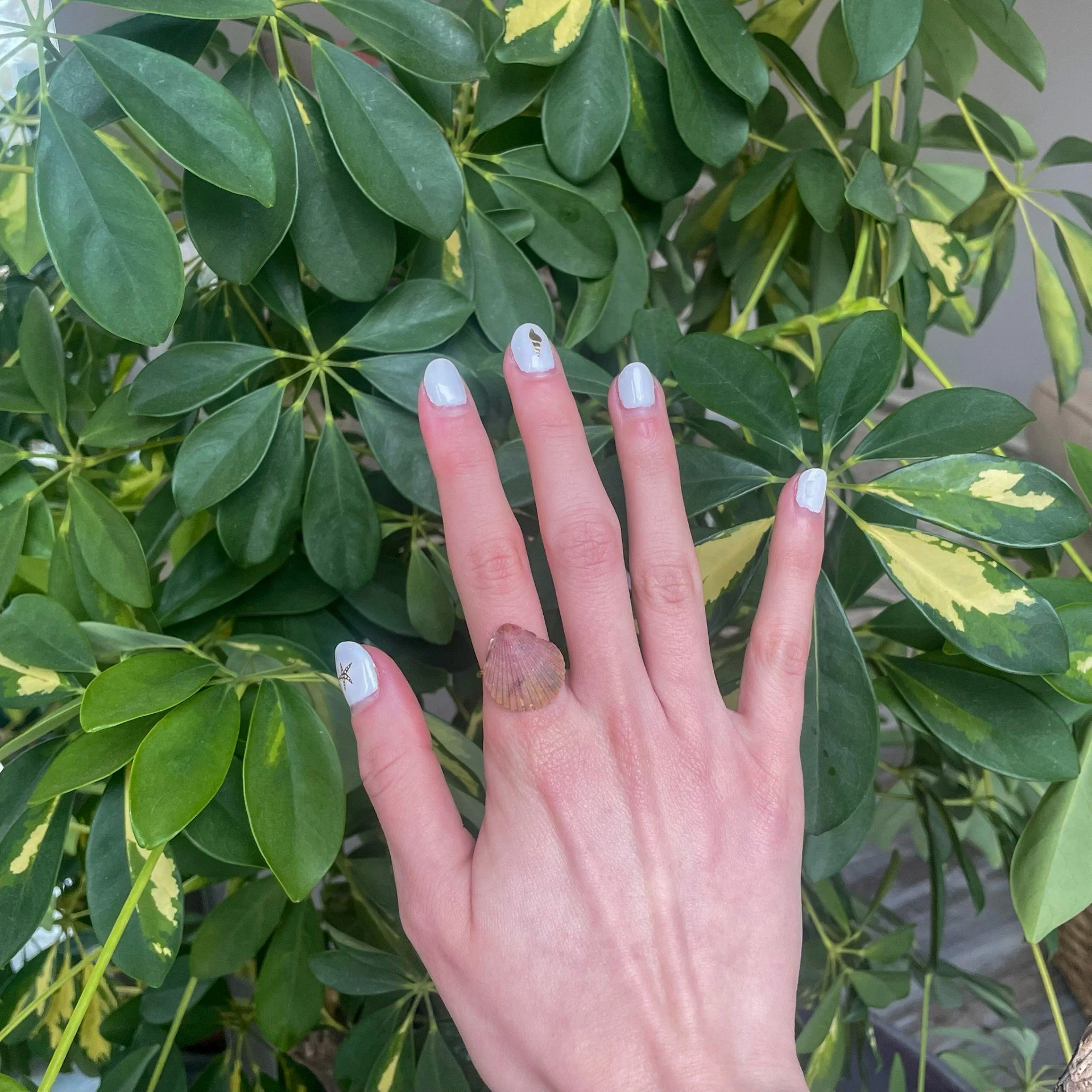 Pink Orange Calico Shell Gold Ring