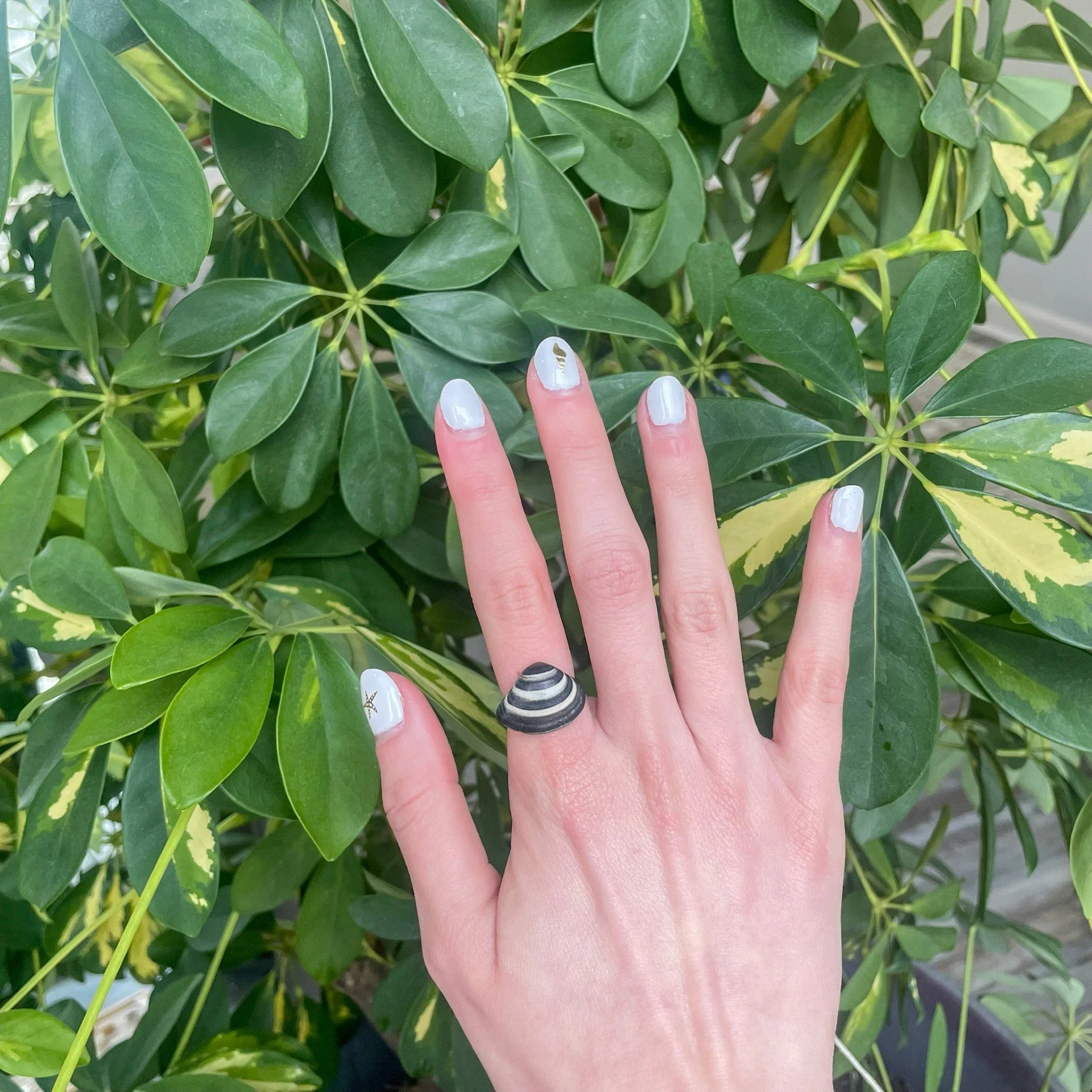 Black & White Surf Clam Silver Ring