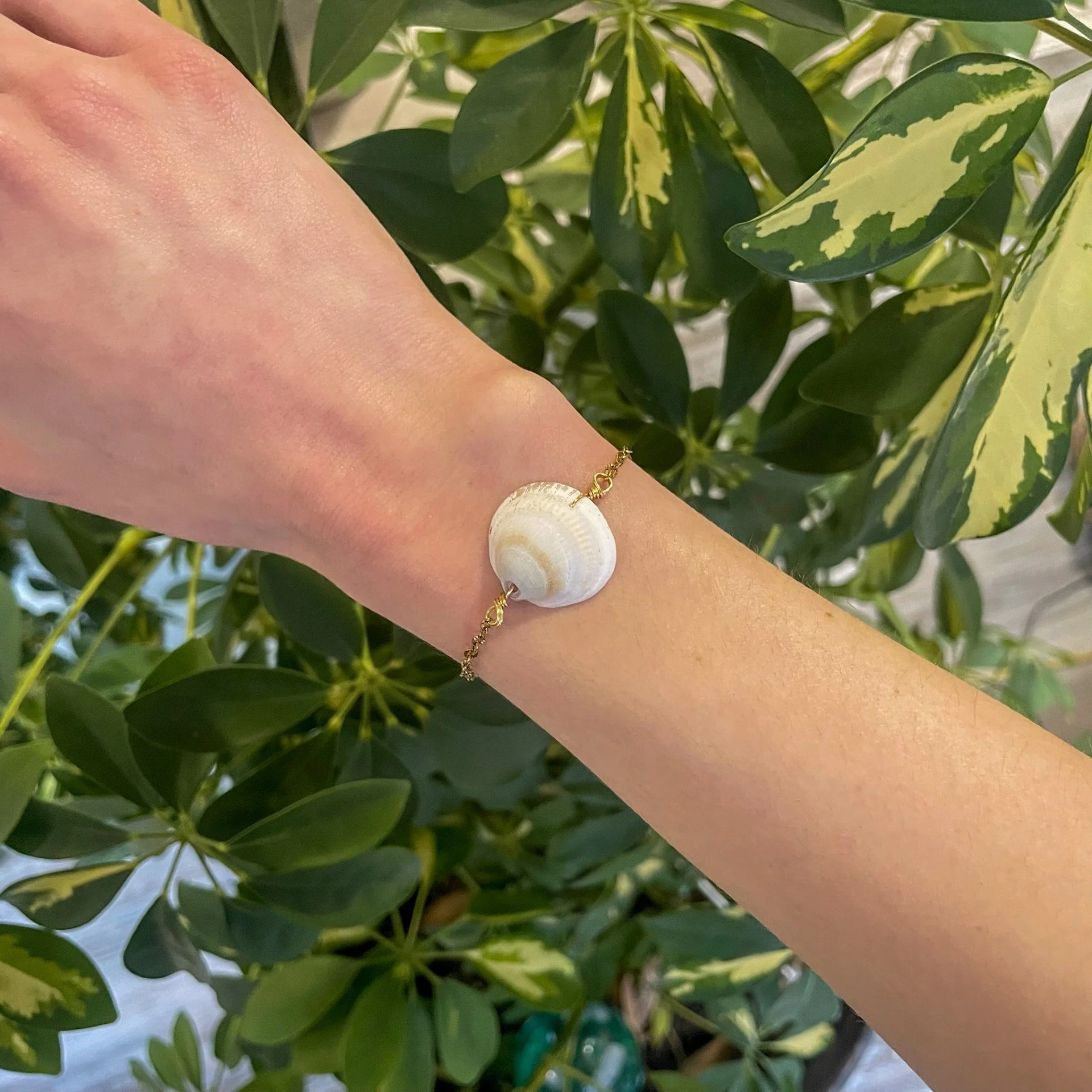 Shell Gold Chain Bracelet