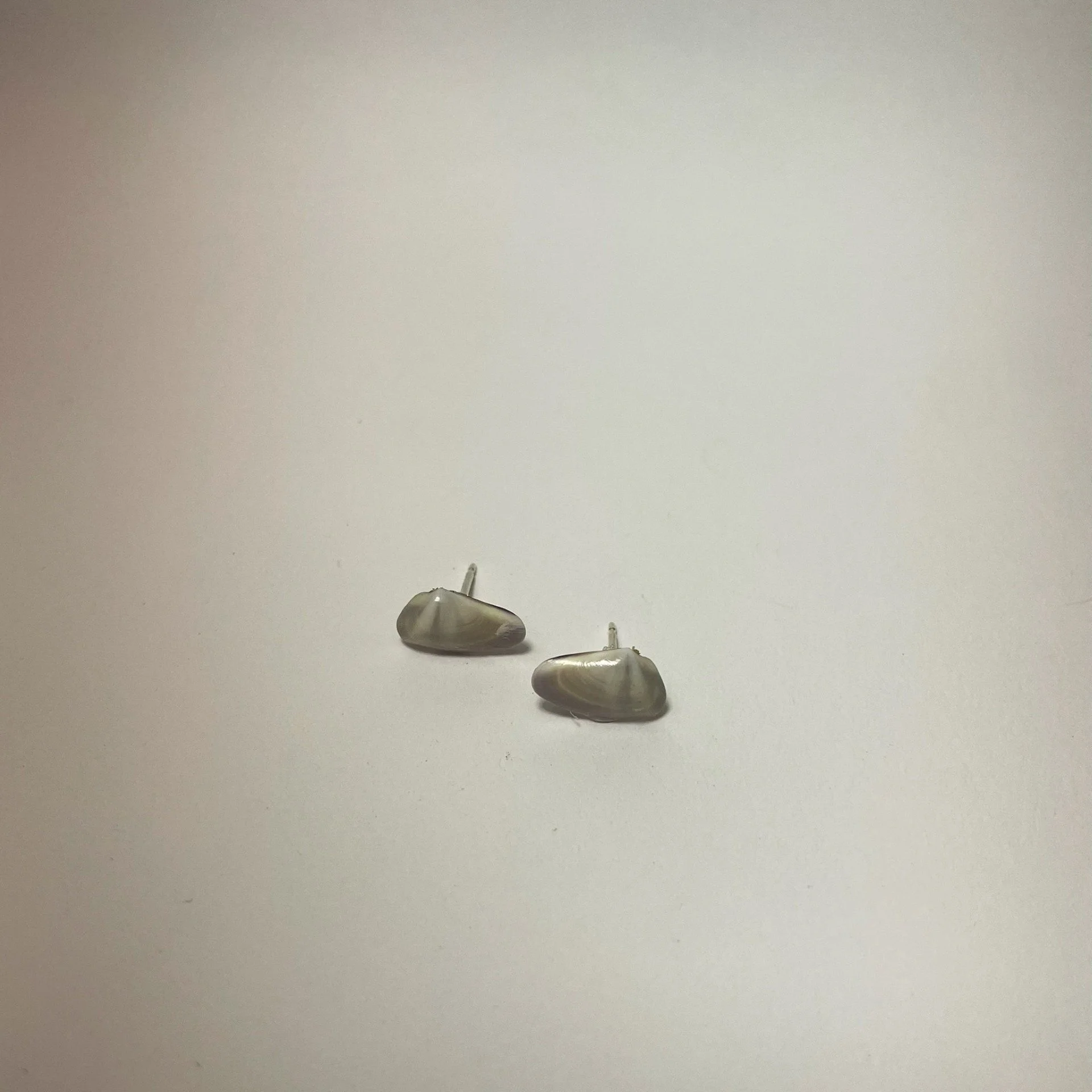 Small Grey shell earrings silver staged.jpeg