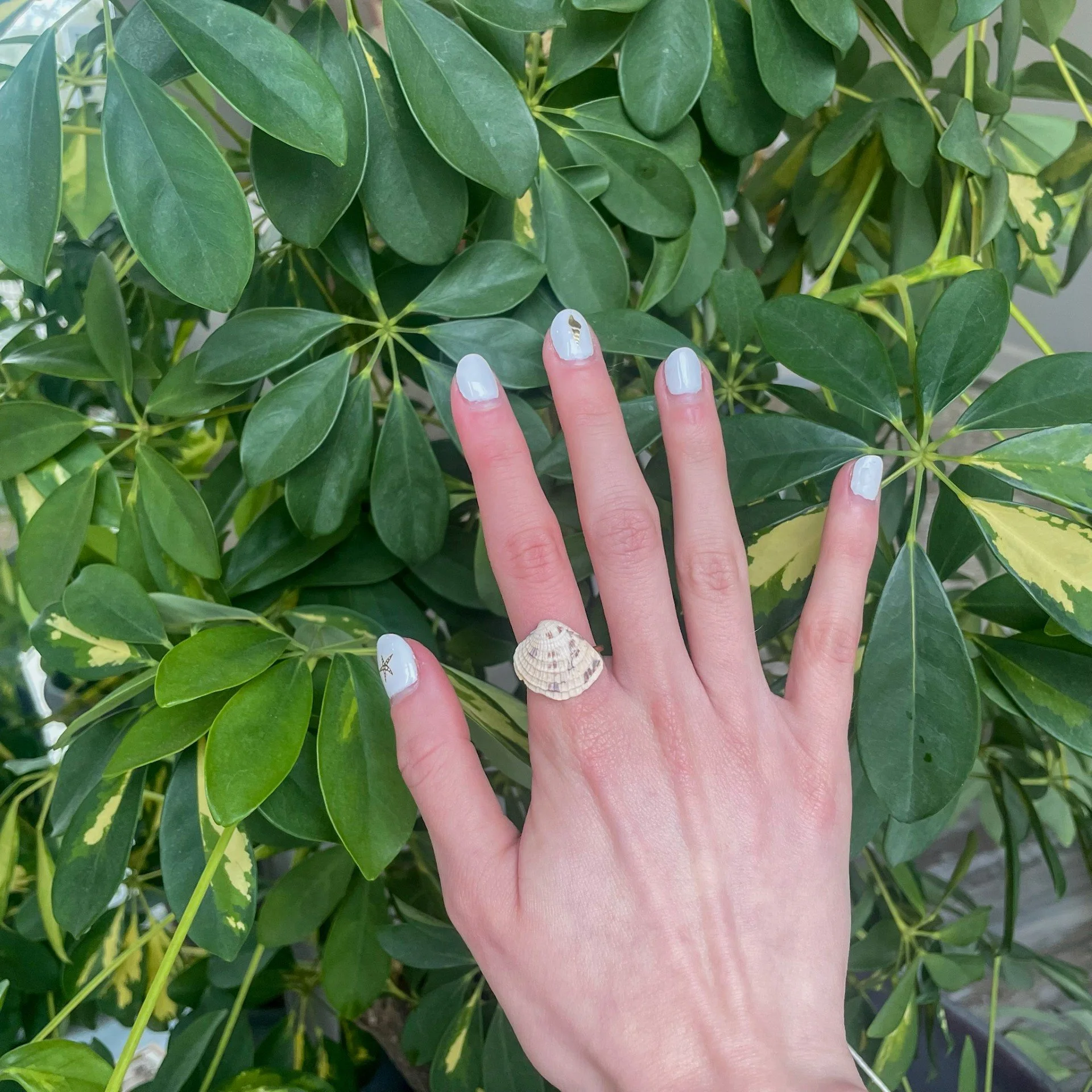 Cream & Purple Clam Shell Gold Ring