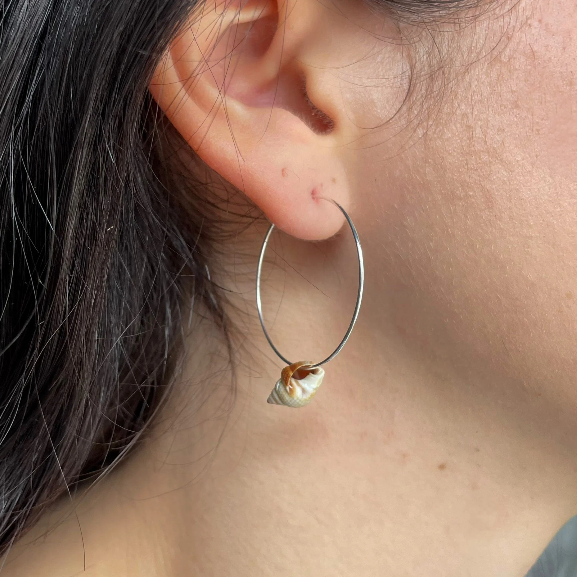 Shell Silver Hoops