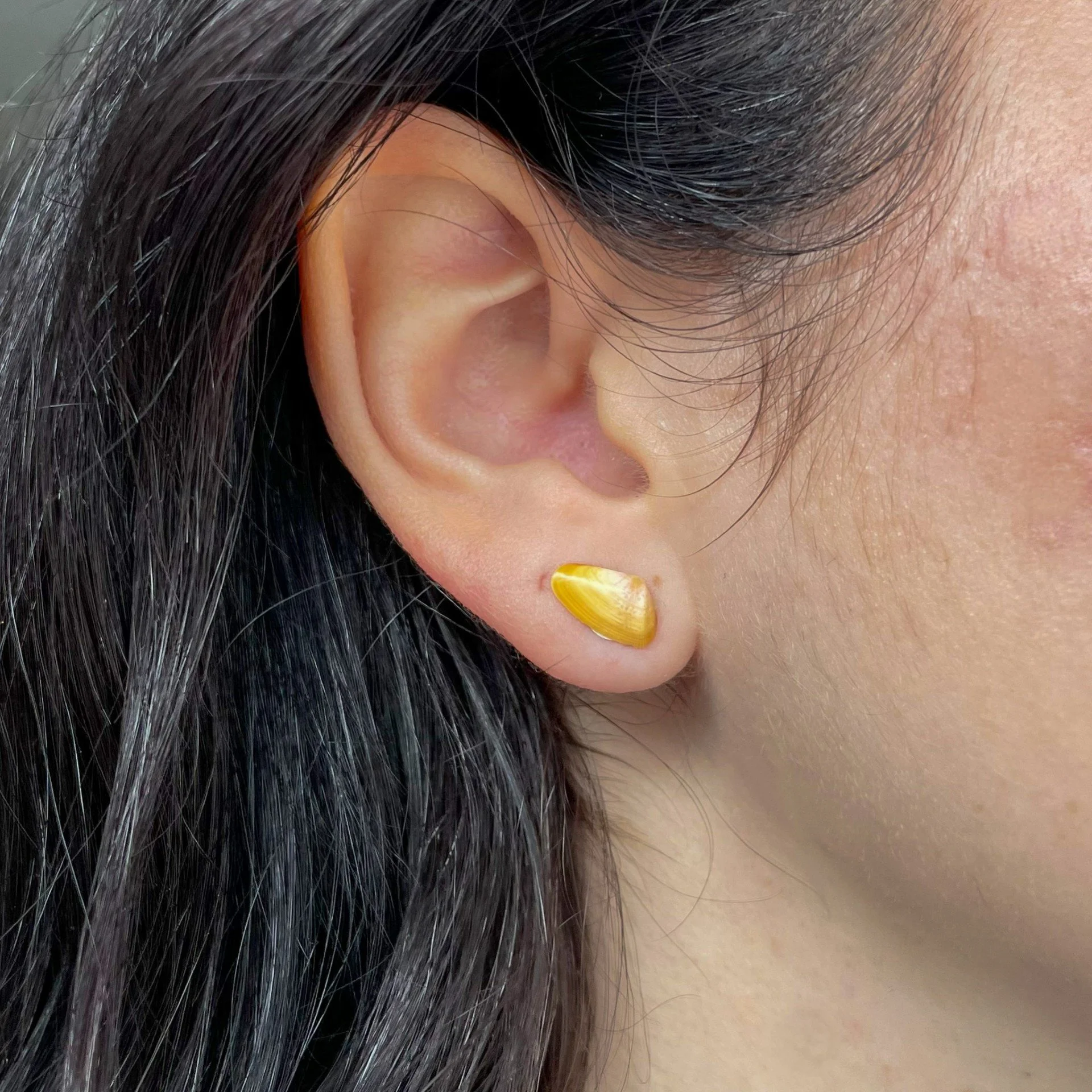 Orange Coquina Shell Studs