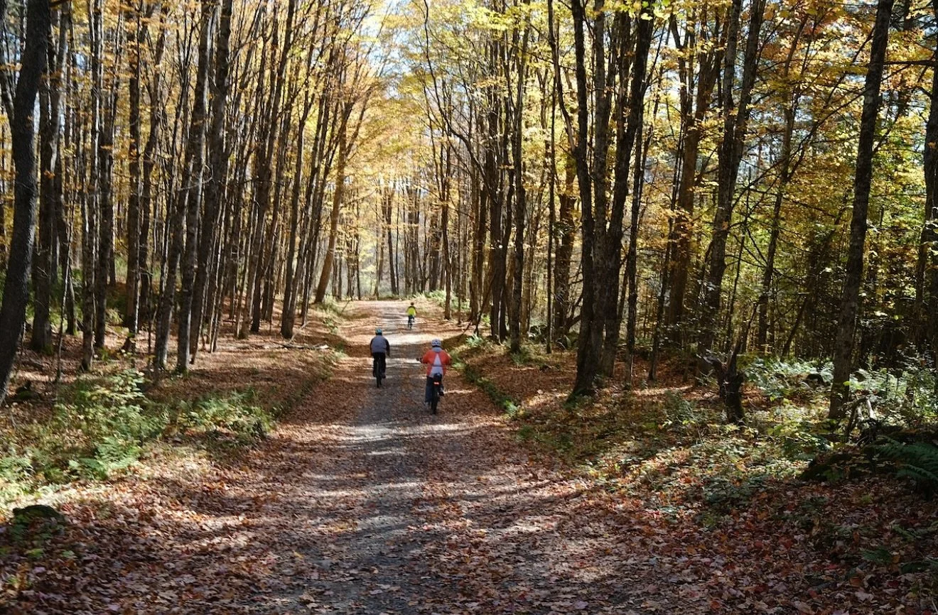 There&rsquo;s still a lot of autumn beauty to be seen on the back roads of Vermont if you know where to look, with dappled light, crunchy leaves, and lots of stunning yellow leaves left. 

Thanks to @joecruzpedaling for this beautiful shot from our b