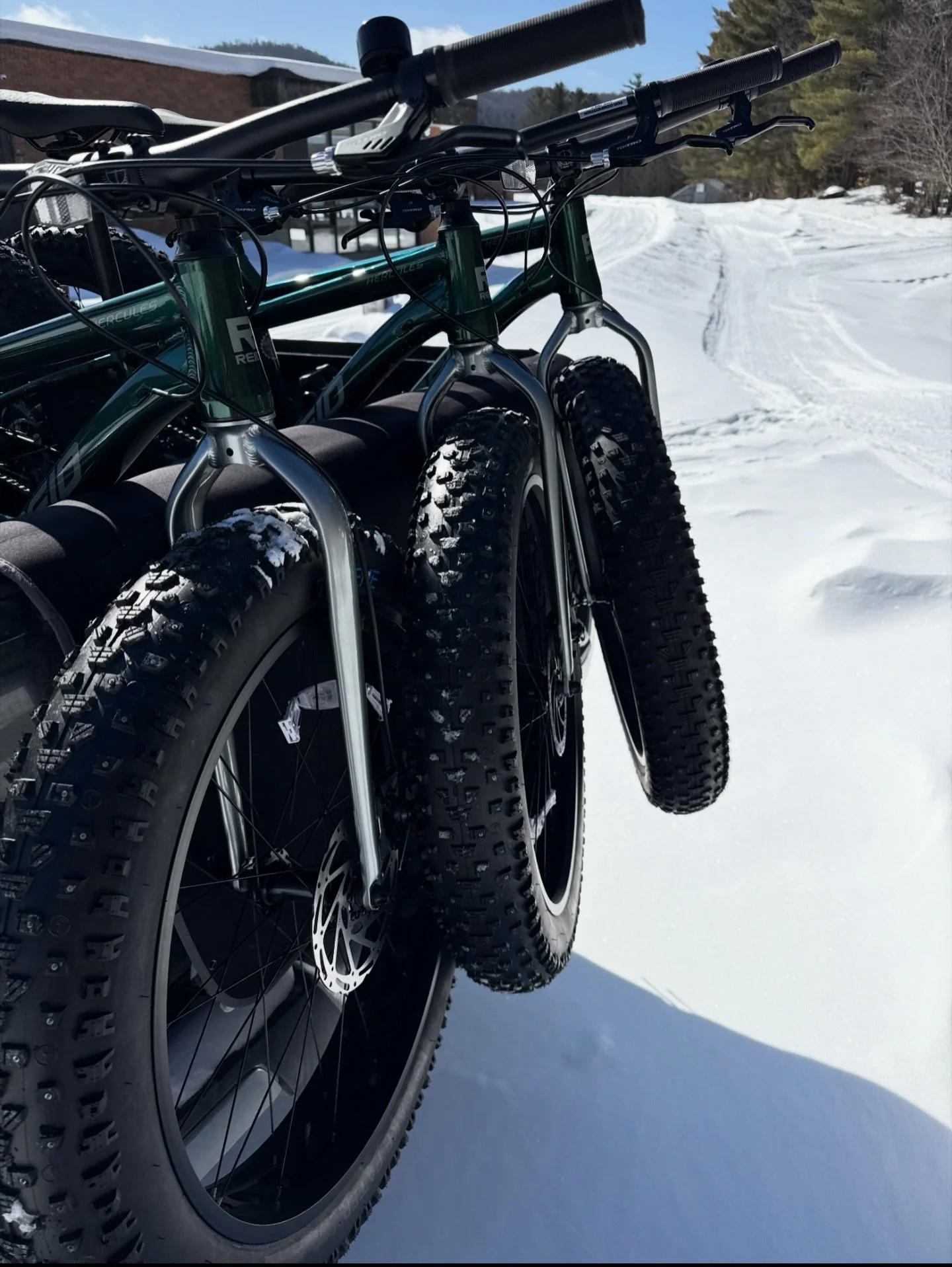 Interested in trying out fat biking? 

We have @reidbikes Hercules and Kid&rsquo;s 14&rdquo; Monster available to rent! They have studded tires and we&rsquo;re happy to give you some tips if you are new to it! 

The conditions are pretty good right n