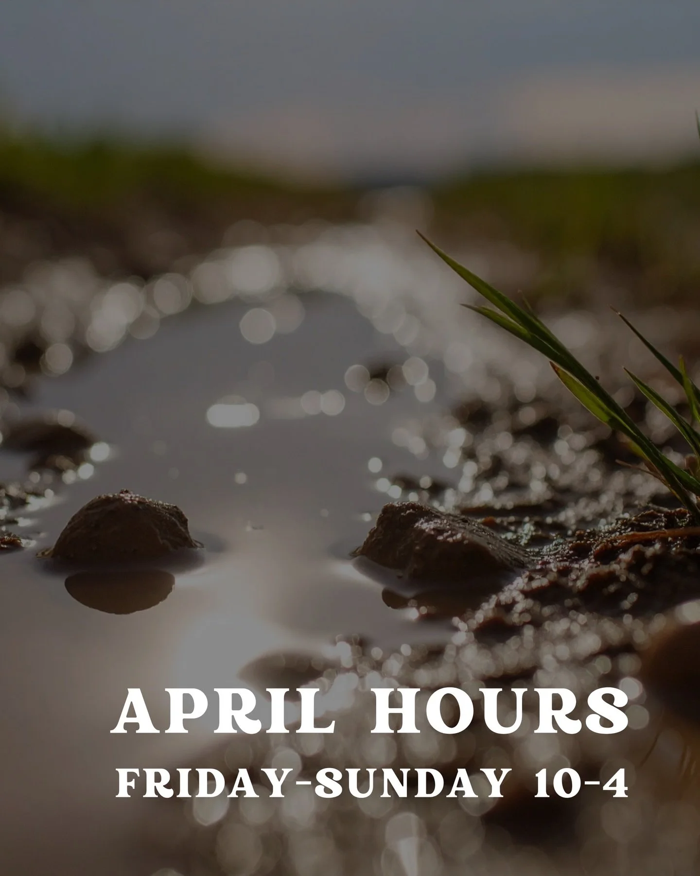 Keeping it simple for April since who knows what kind of weather we&rsquo;ll be enjoying! 

We&rsquo;ll be adding more days soon.

#bikeshop #bikeservice #hardwickvt #riversidecycles