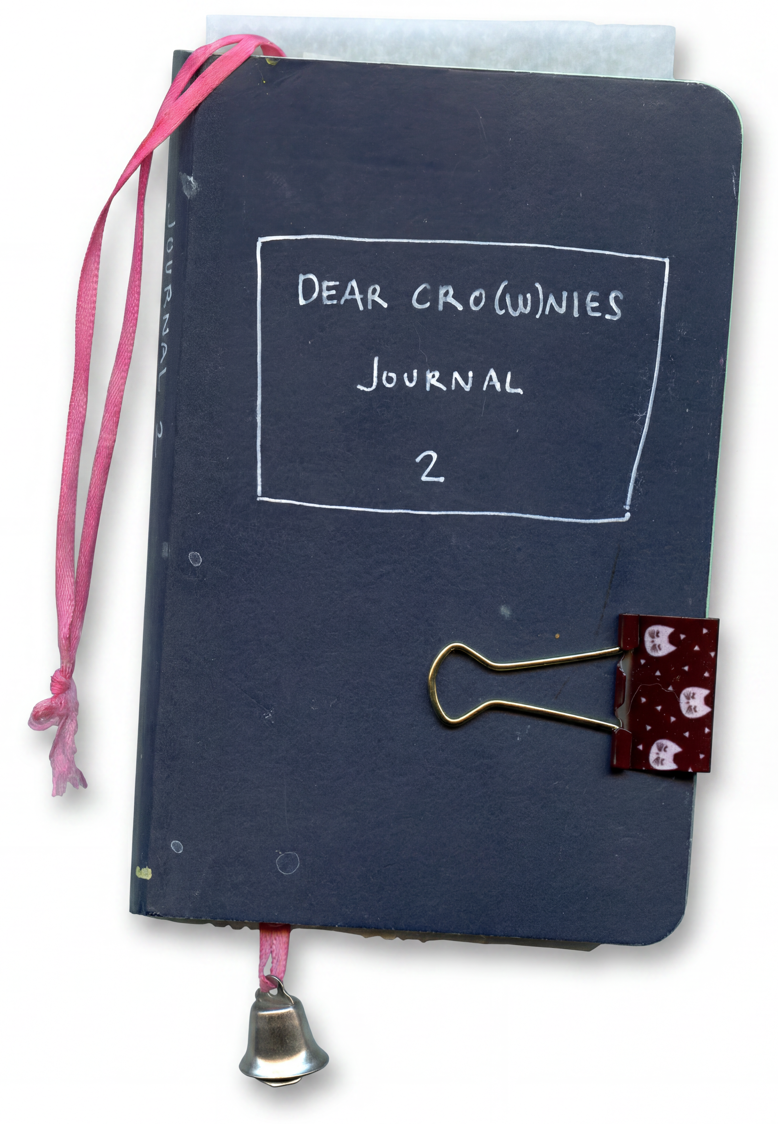 Dear Cro(w)nies Journal 2