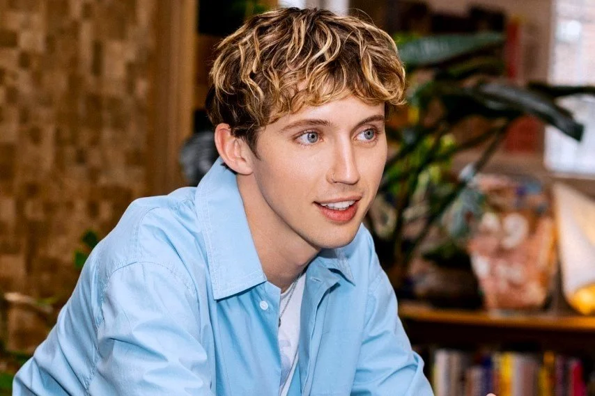 The Hollywood Tickler: Troye Sivan