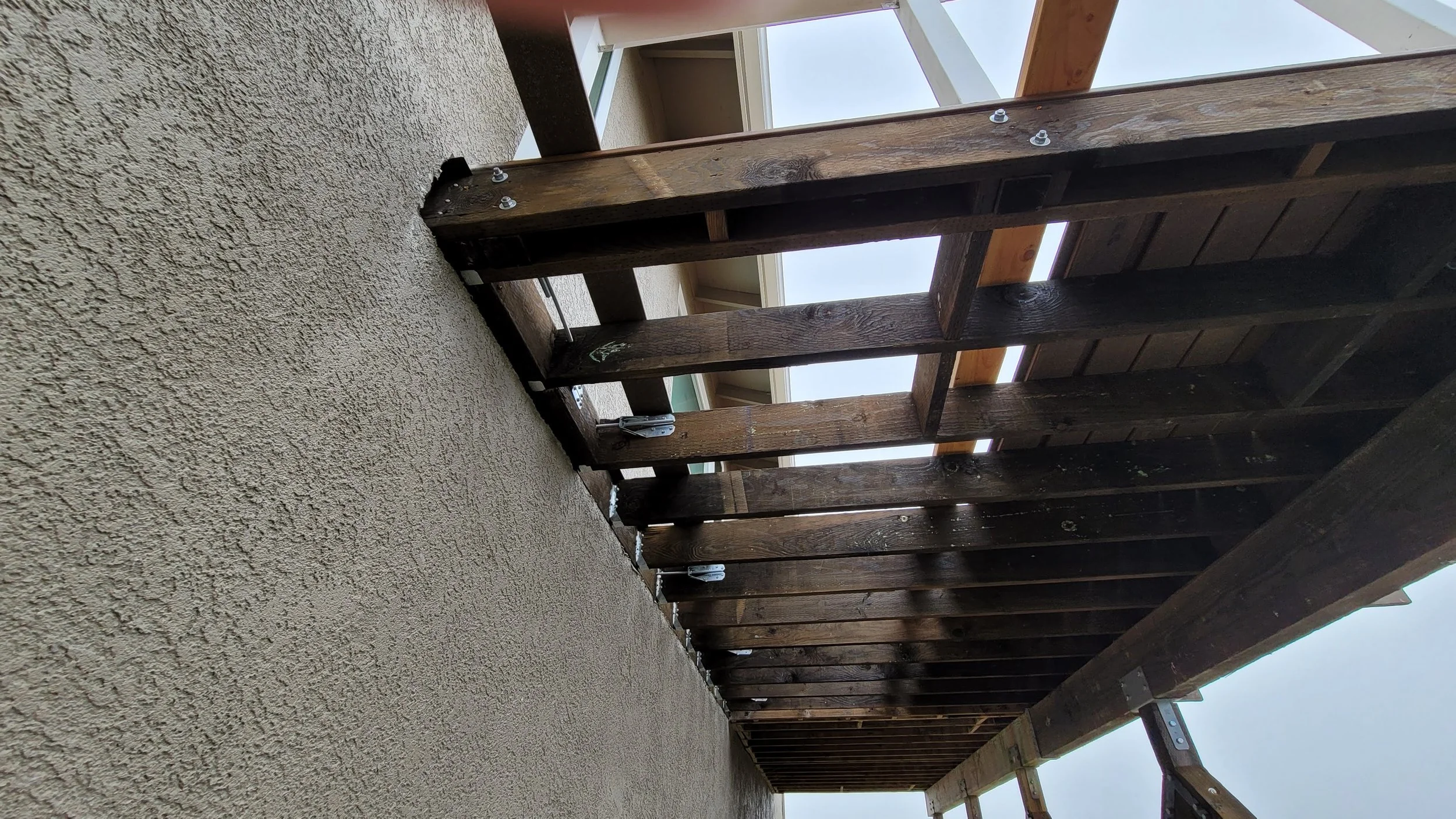 20210604_075142 (1).jpg