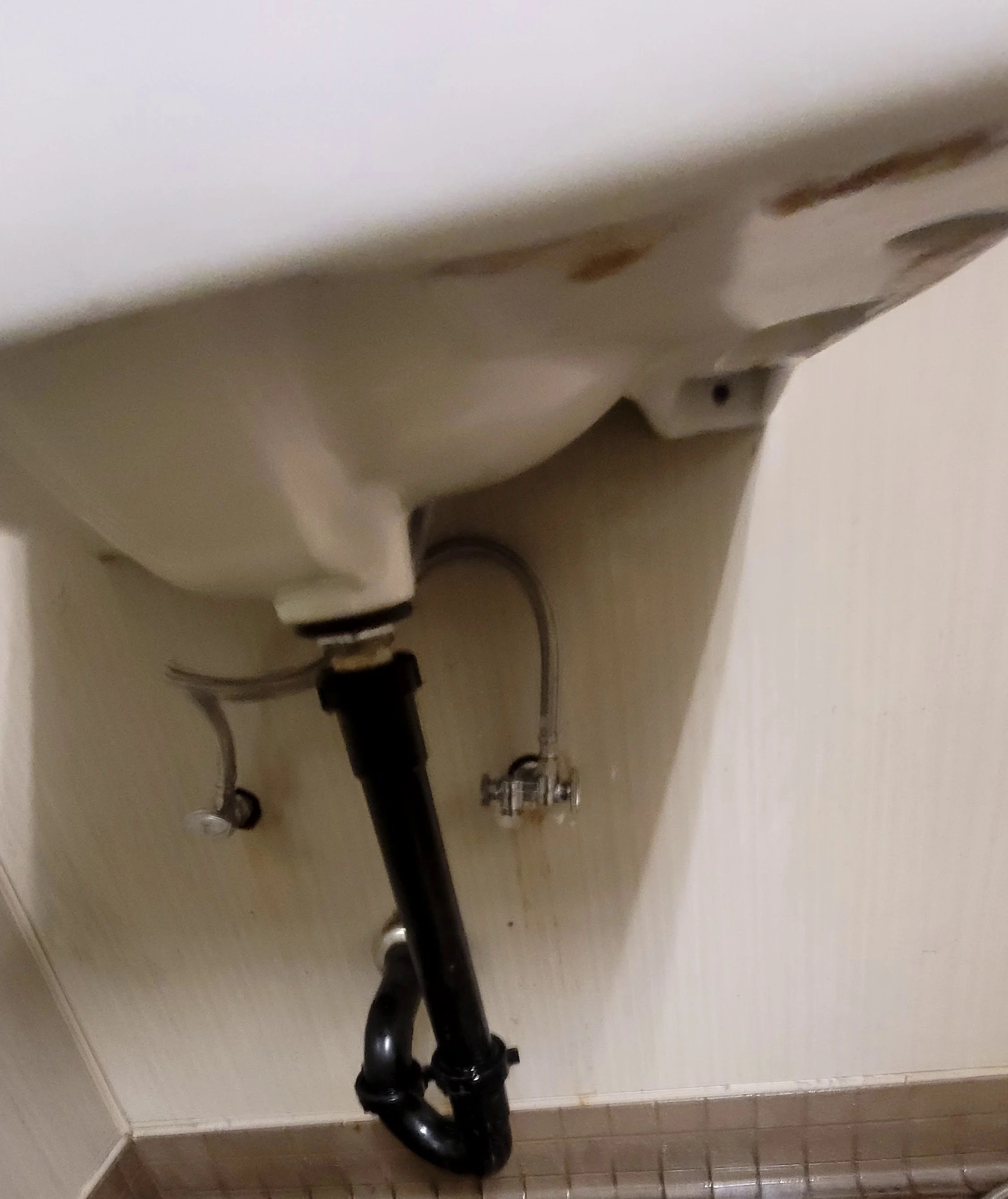 20230531_194747 (1).jpg