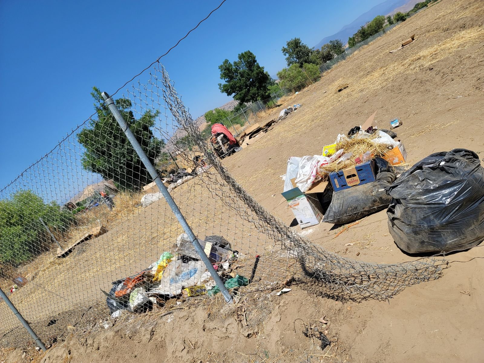 e05516d1-5593-49a3-9c02-f69003659b28 (2).jpg