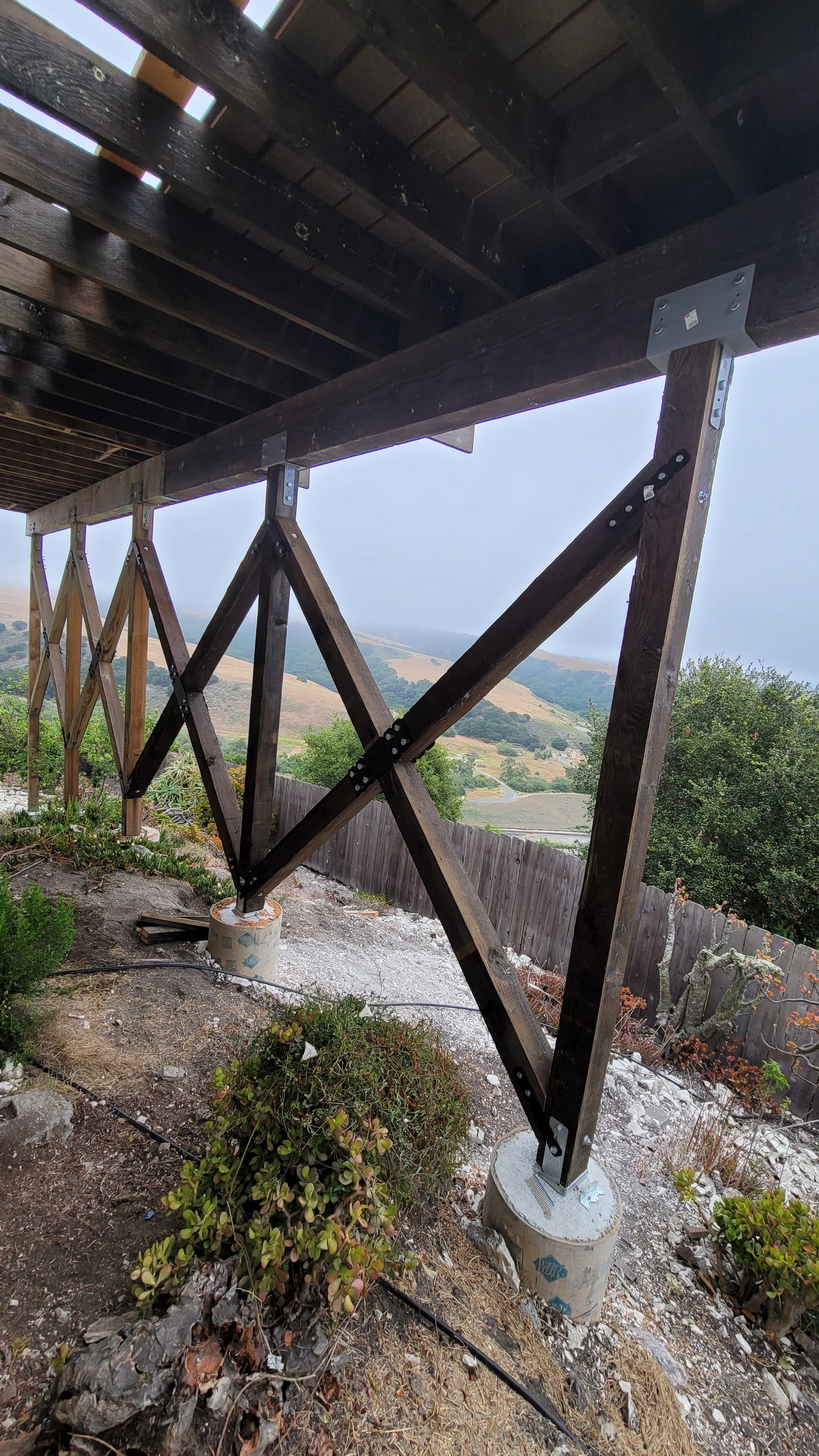 20210604_075117 (1).jpg