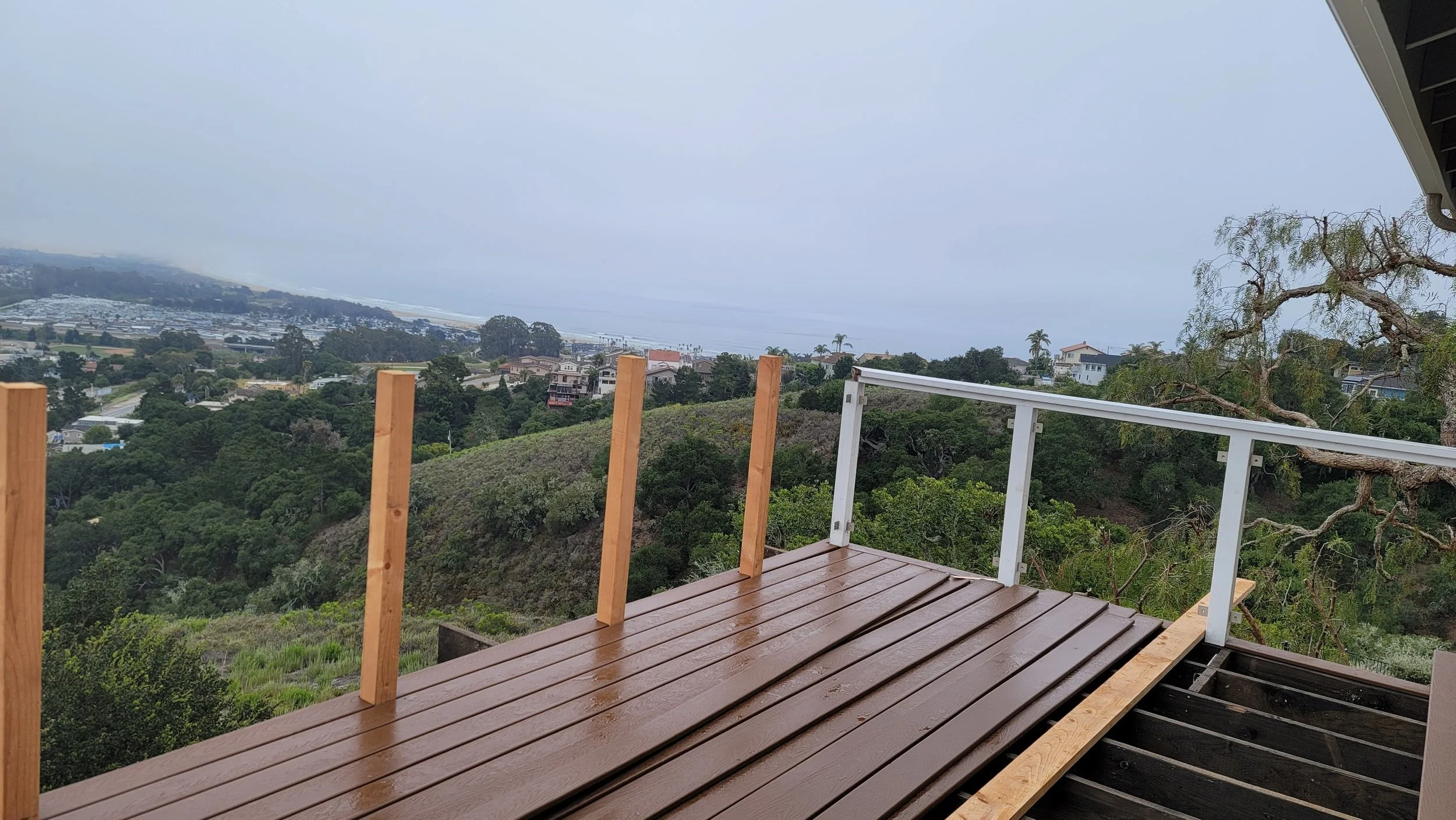 20210604_074940 (2).jpg