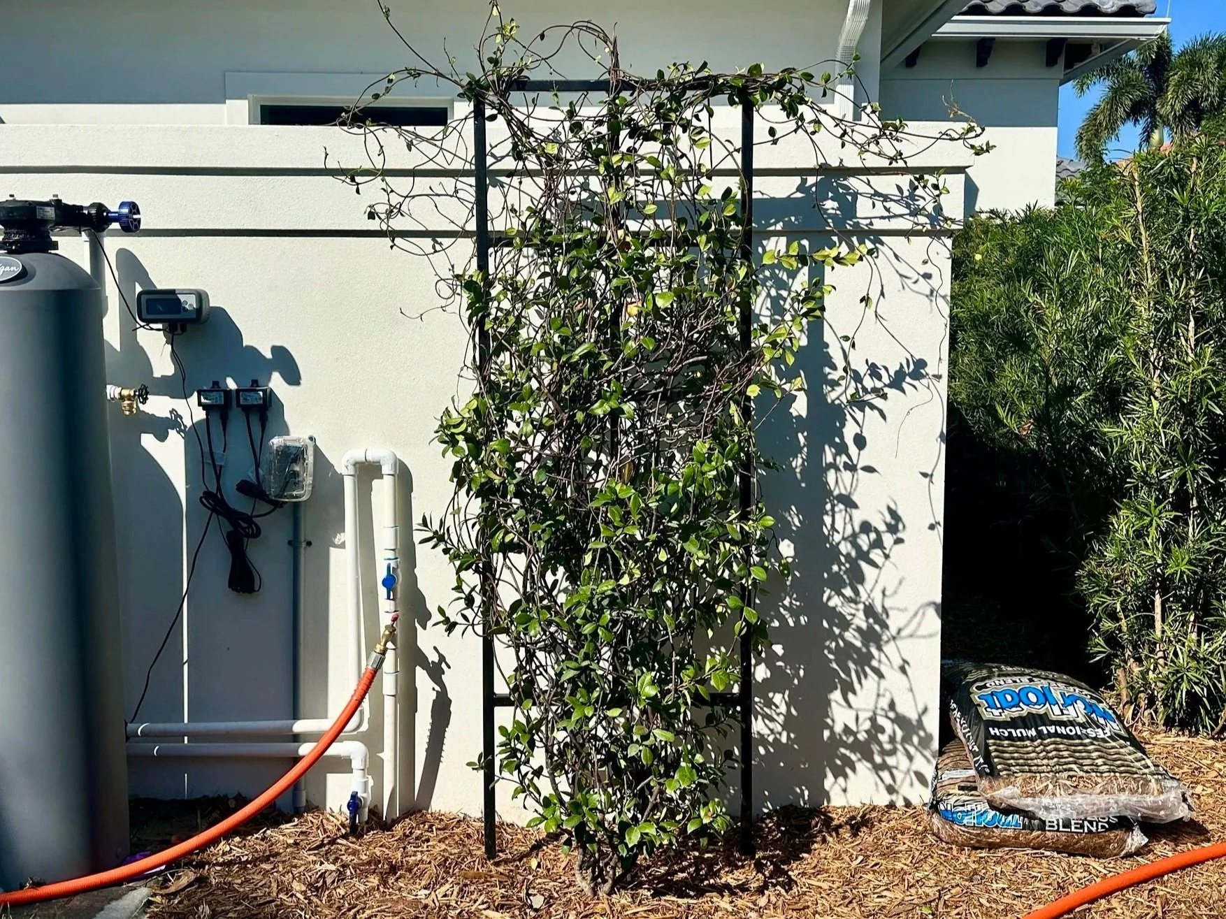 Vertical+Ground+Trellis.jpg