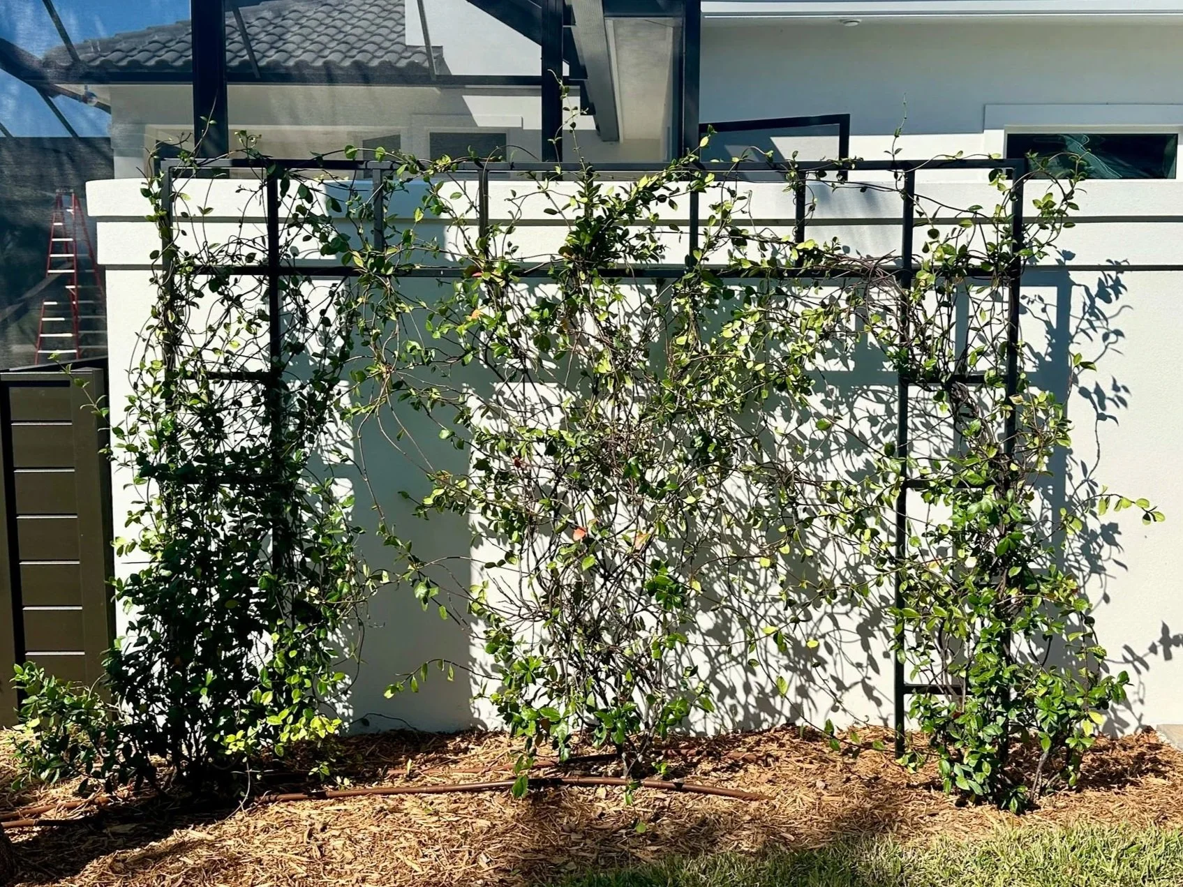 U-Turn+Ground+Trellis.jpg