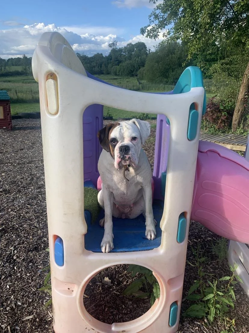 WhatsApp Image 2024-09-06 at 14.54.57.jpeg