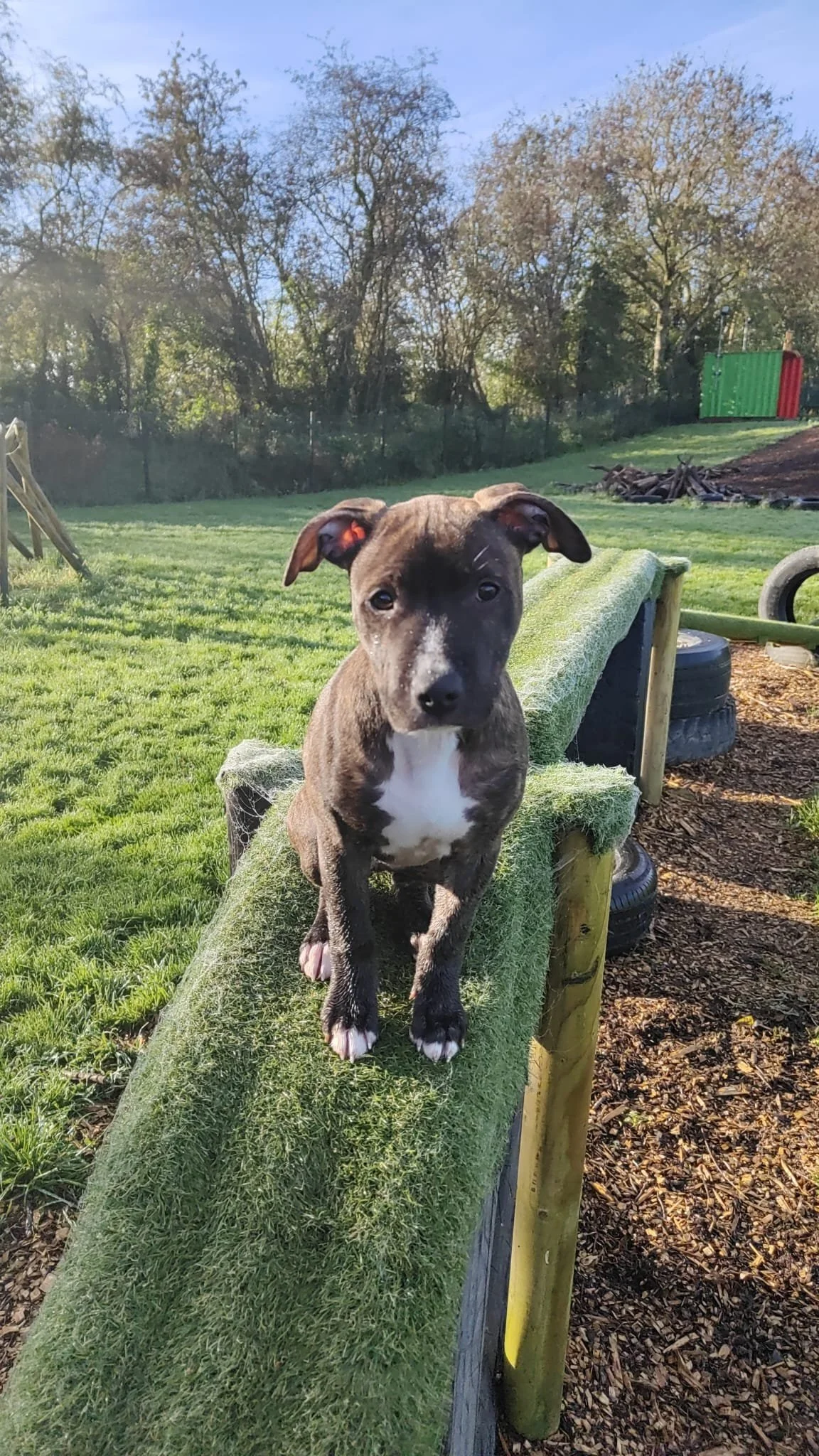 WhatsApp Image 2024-09-06 at 15.02.06.jpeg