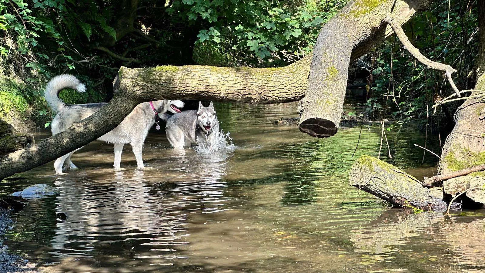 WhatsApp Image 2024-09-06 at 14.54.43.jpeg